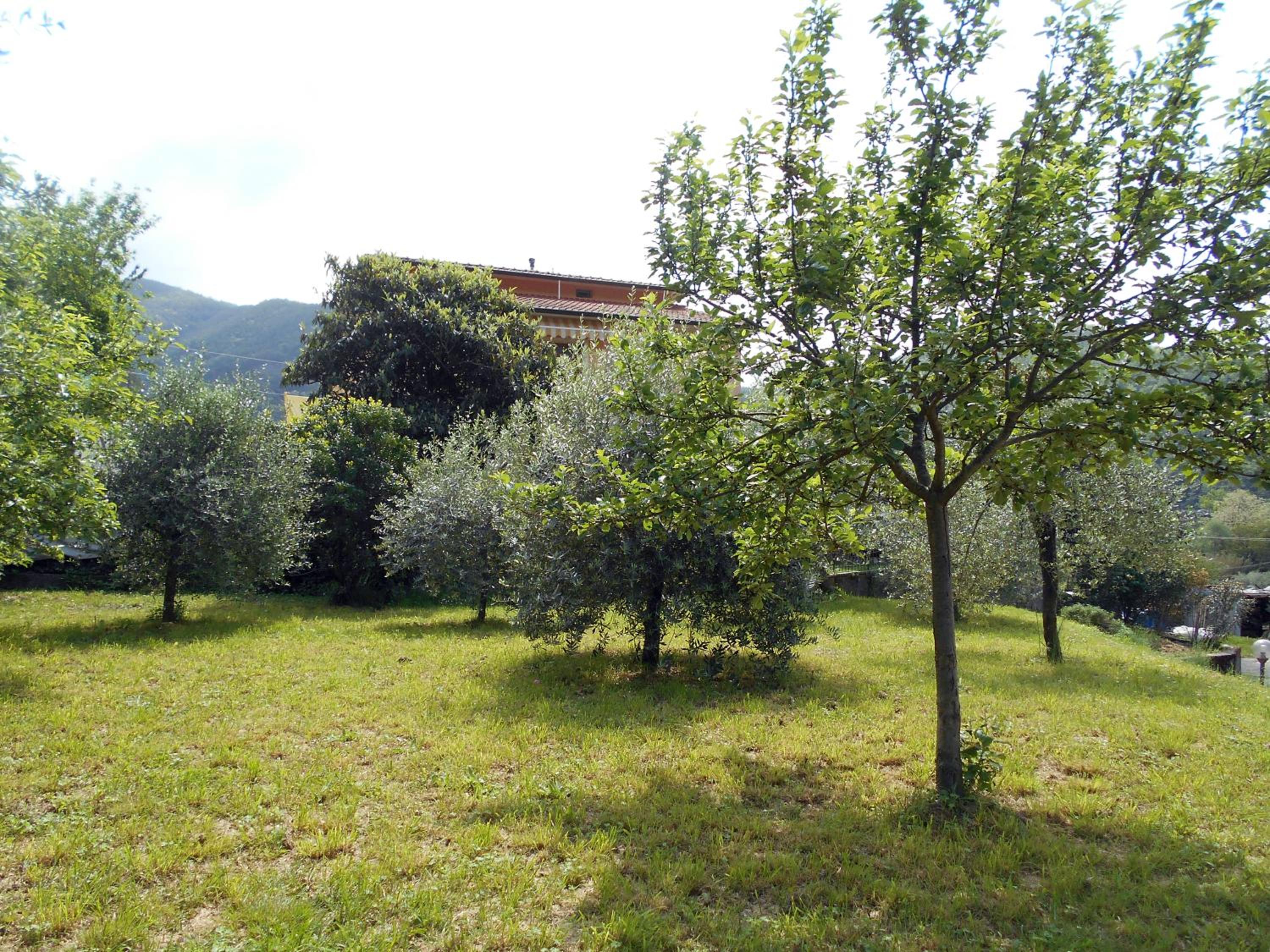 Photo 27