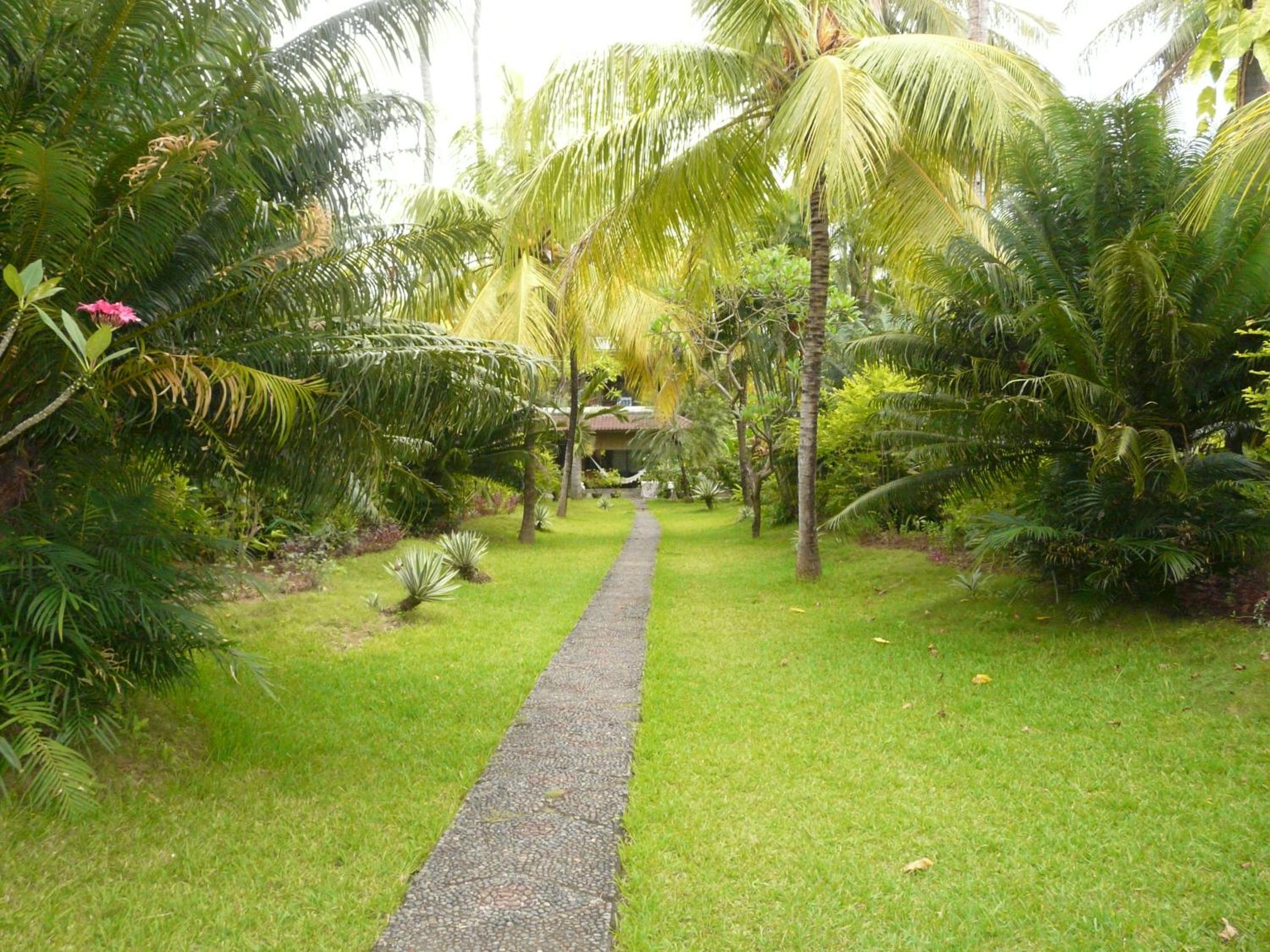 Photo 40
