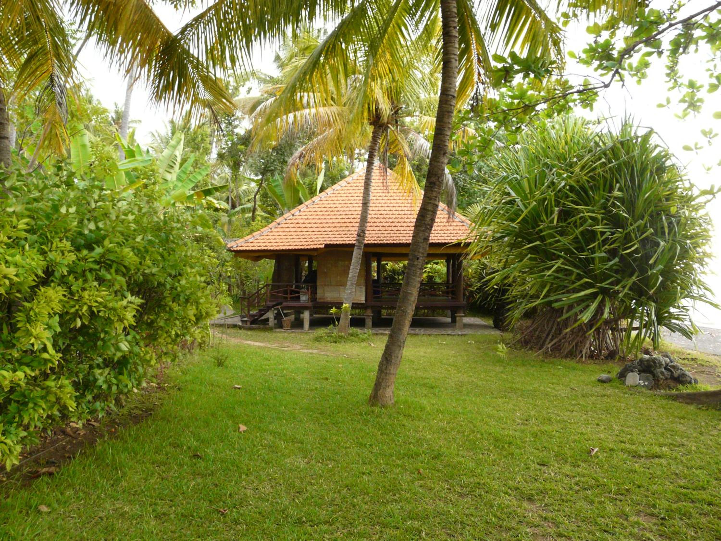 Photo 43
