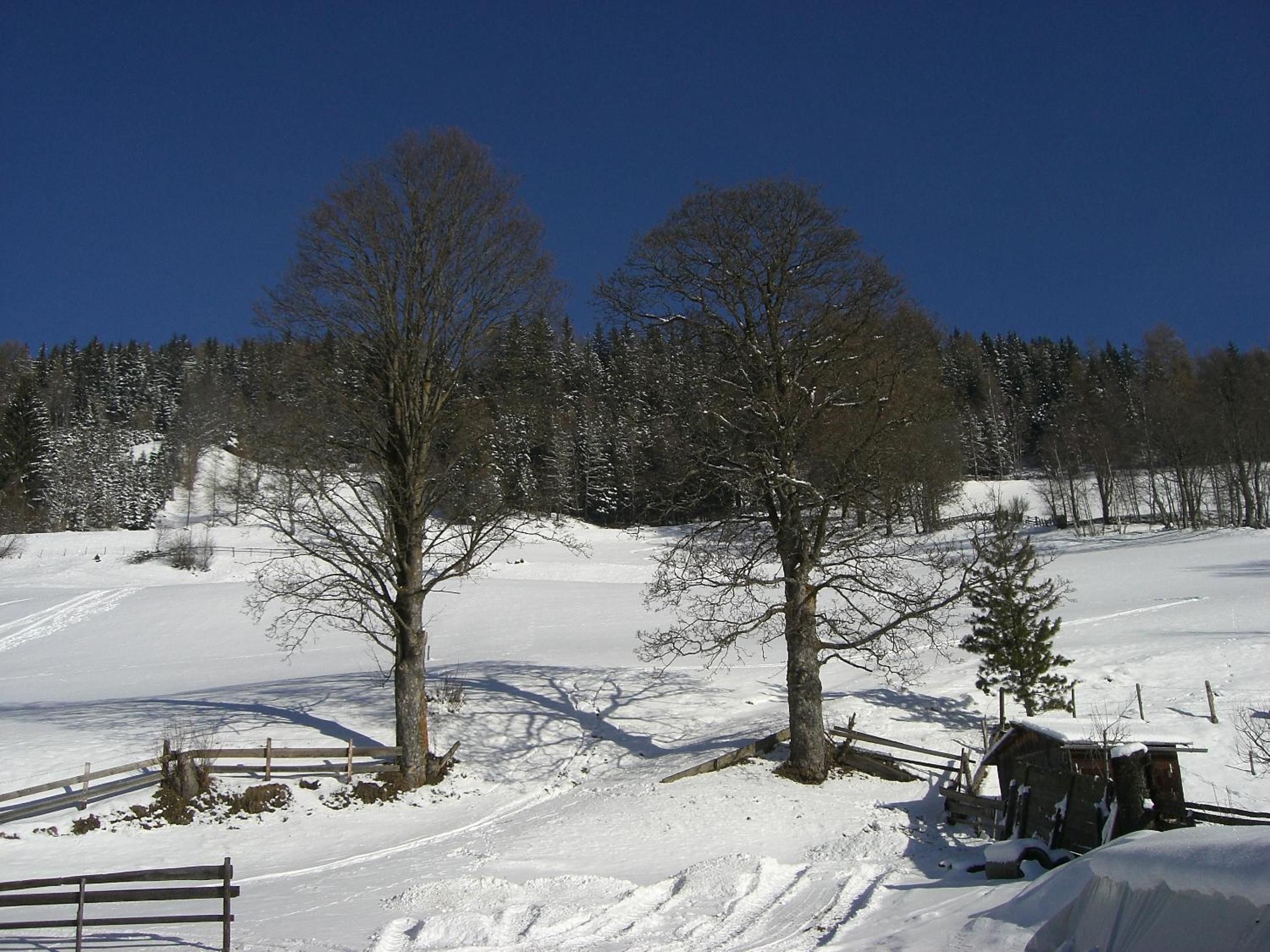 Brandstättergut