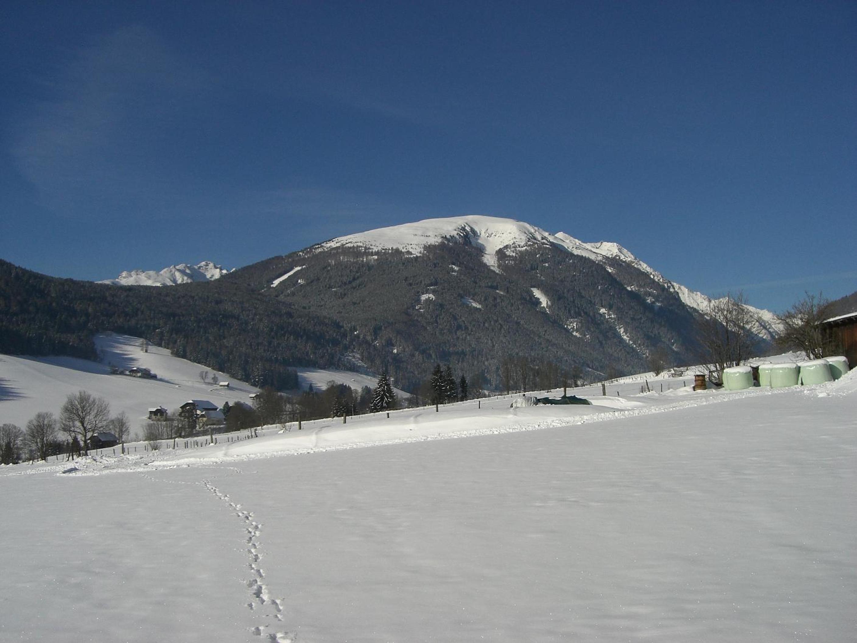 Brandstättergut