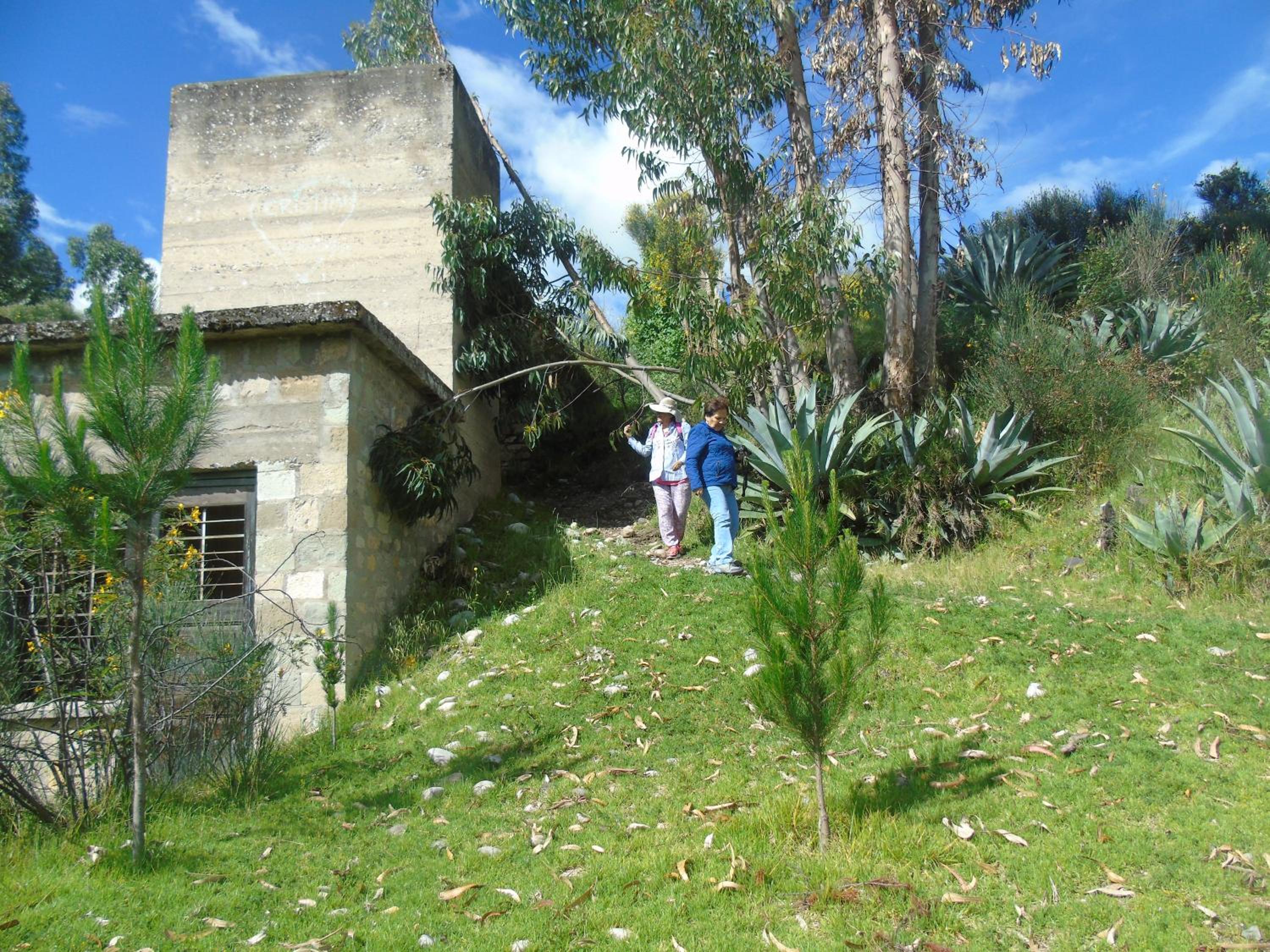 Photo 90