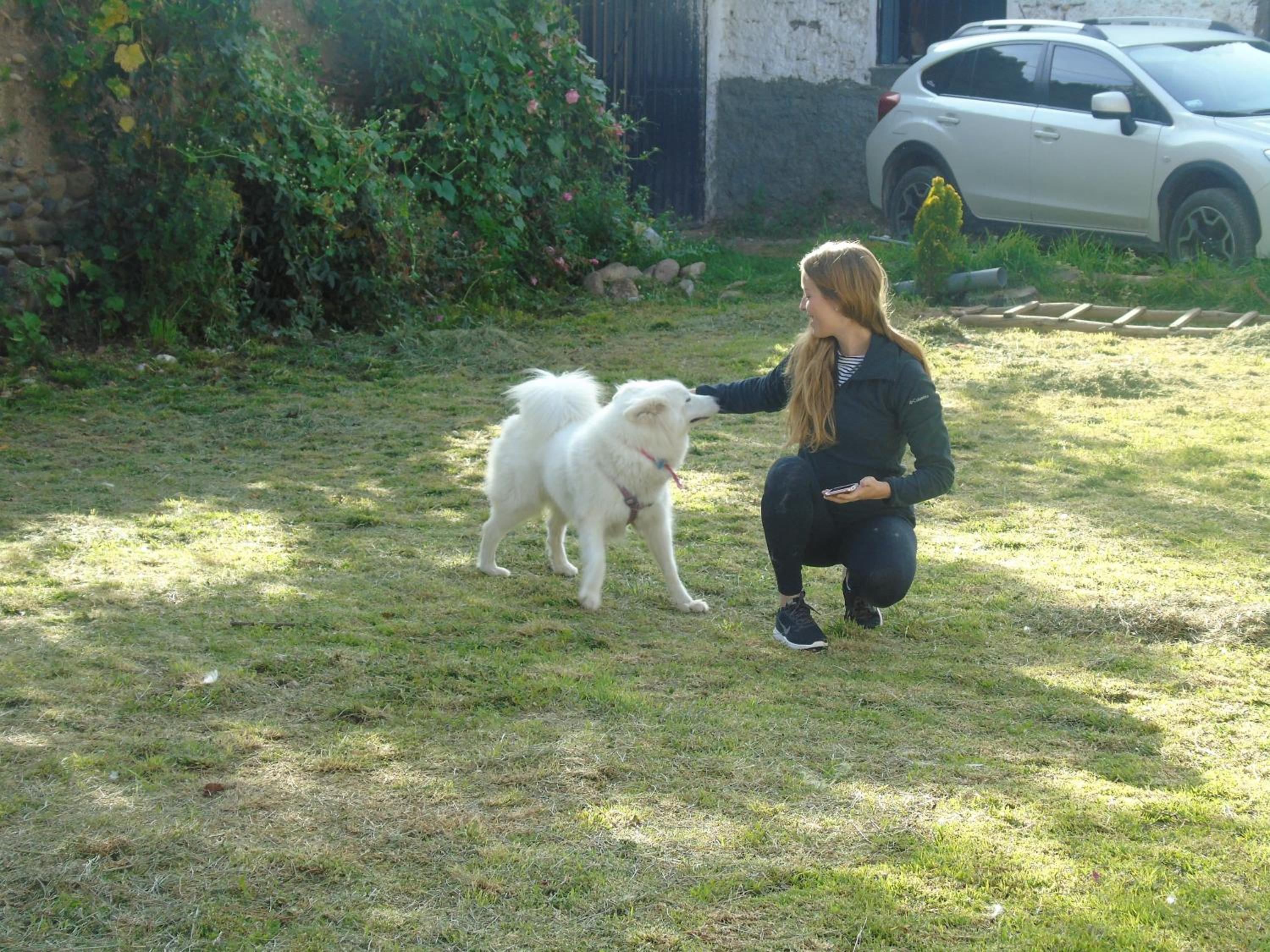 Photo 63