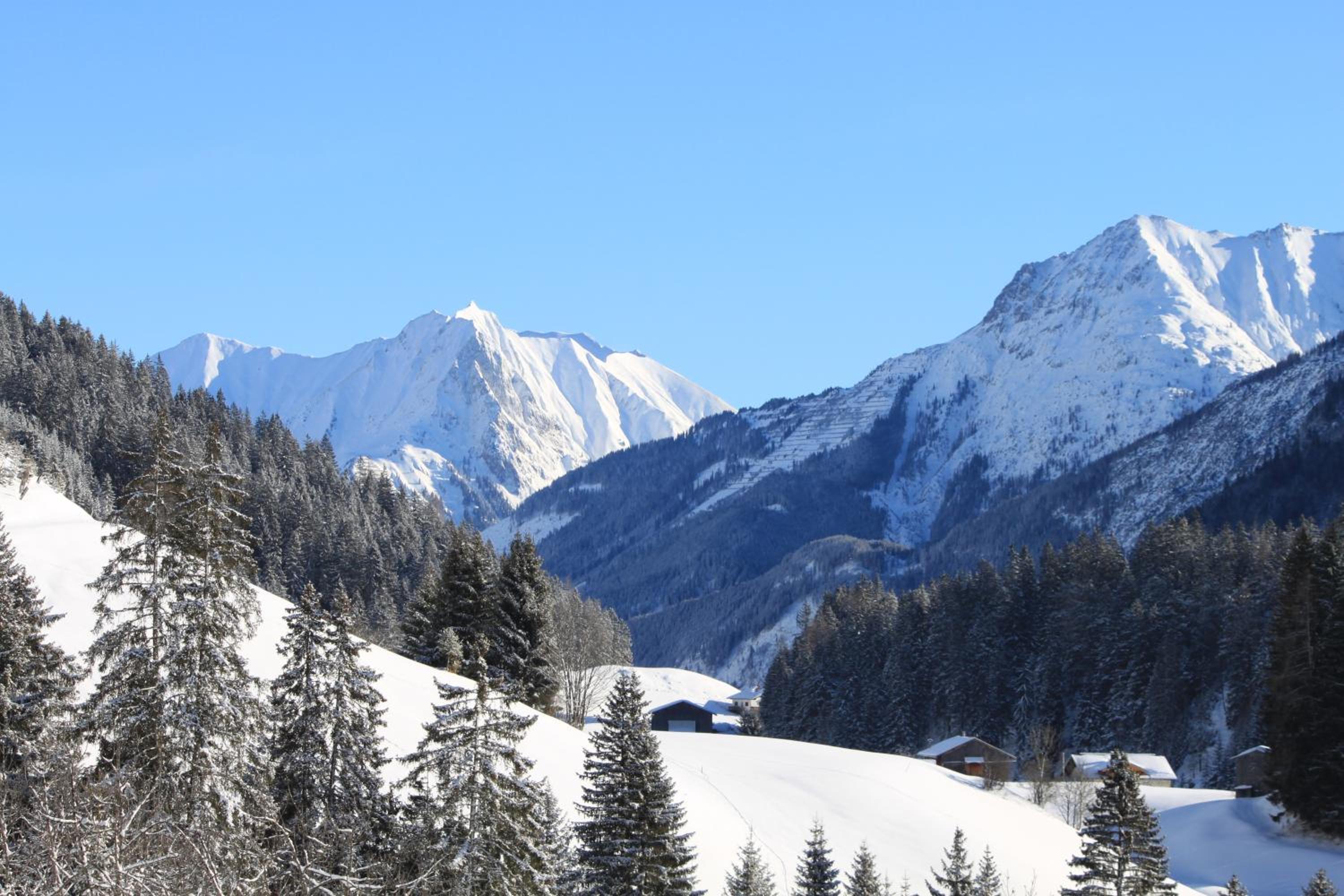 WOLF RETREAT Apartments im Lechtal davor Appartementhaus Michaela