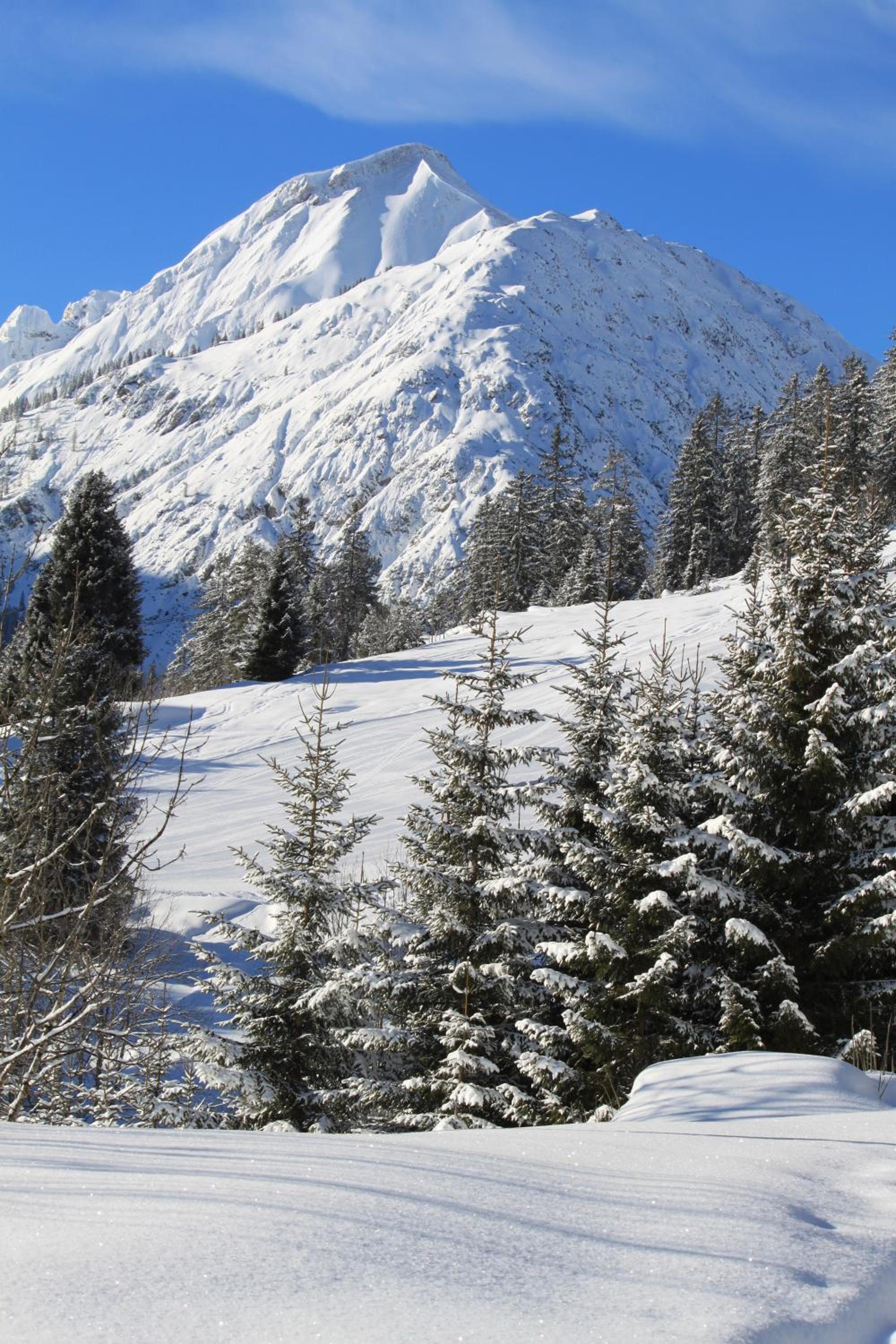 WOLF RETREAT Apartments im Lechtal davor Appartementhaus Michaela