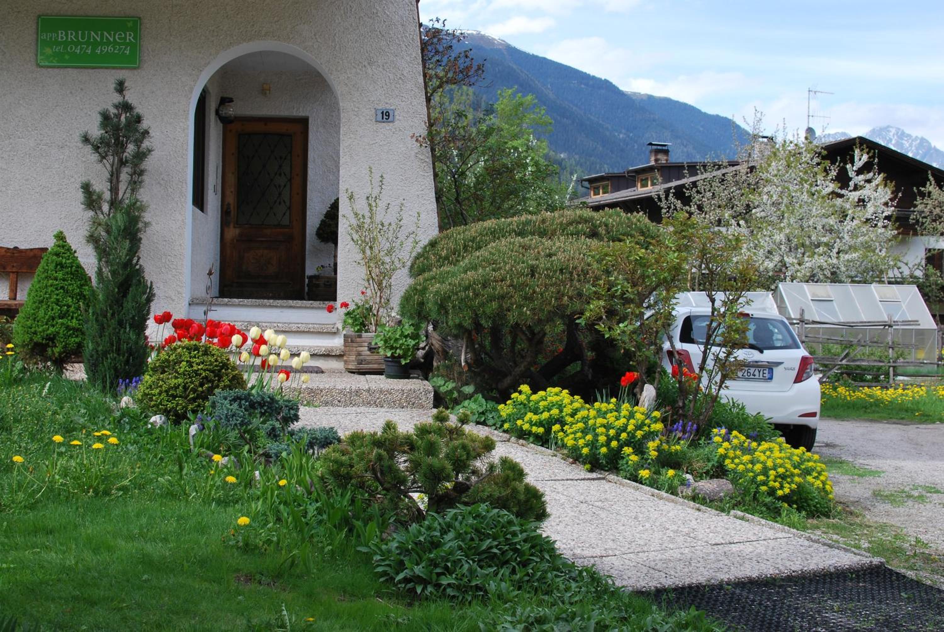 Photo 11