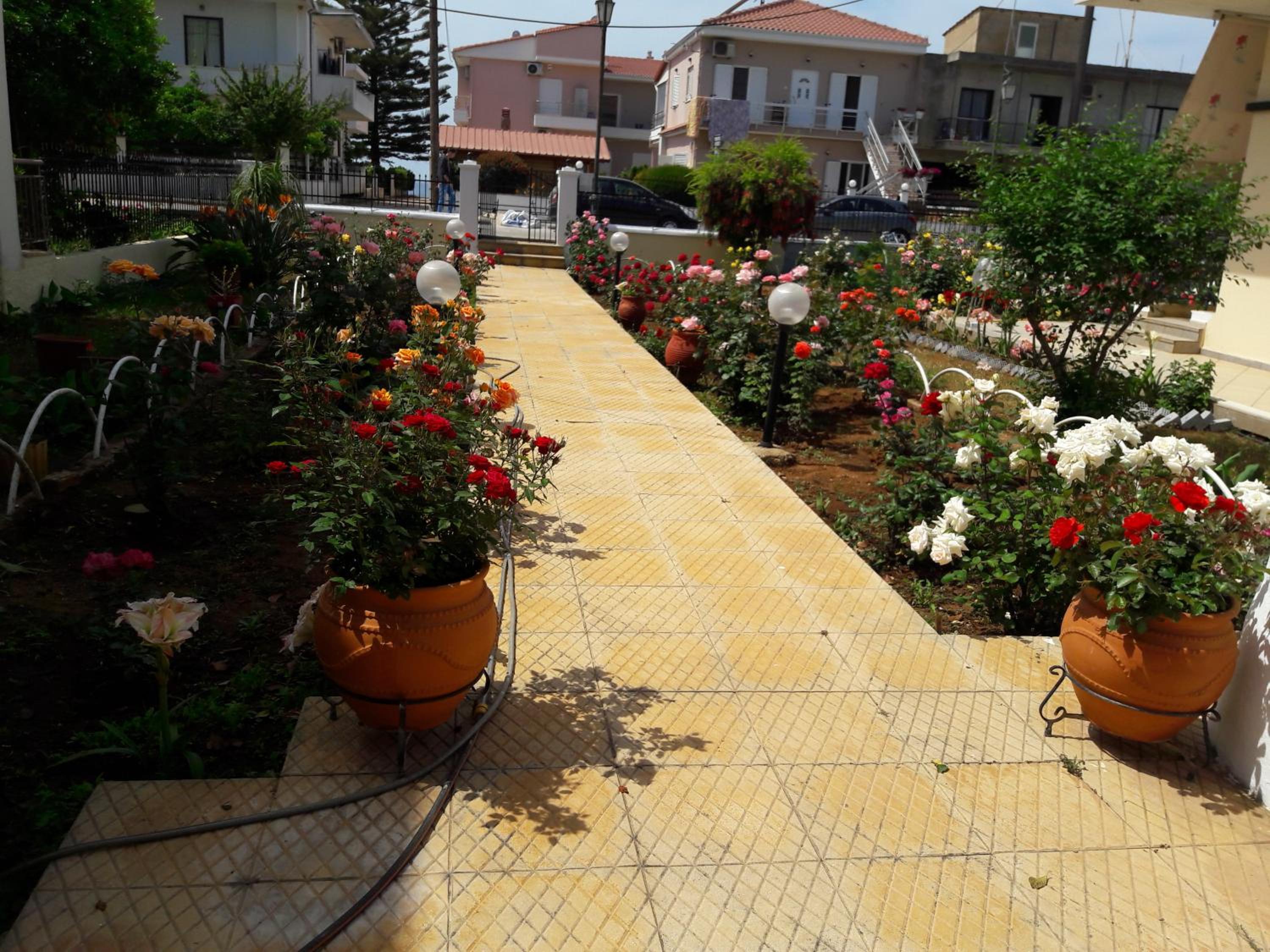 Photo 10