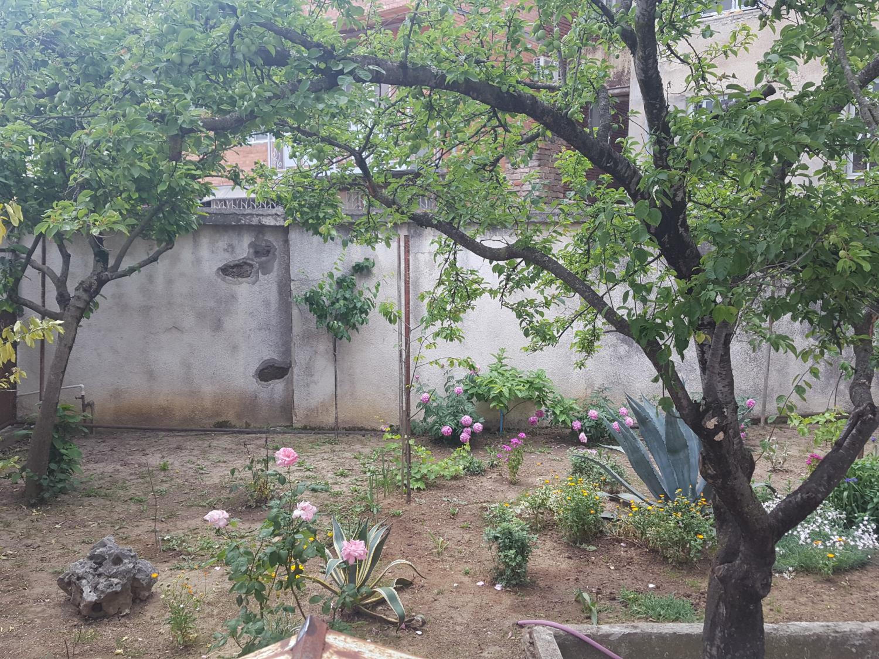 Hostel Mana Kutaisi view 2