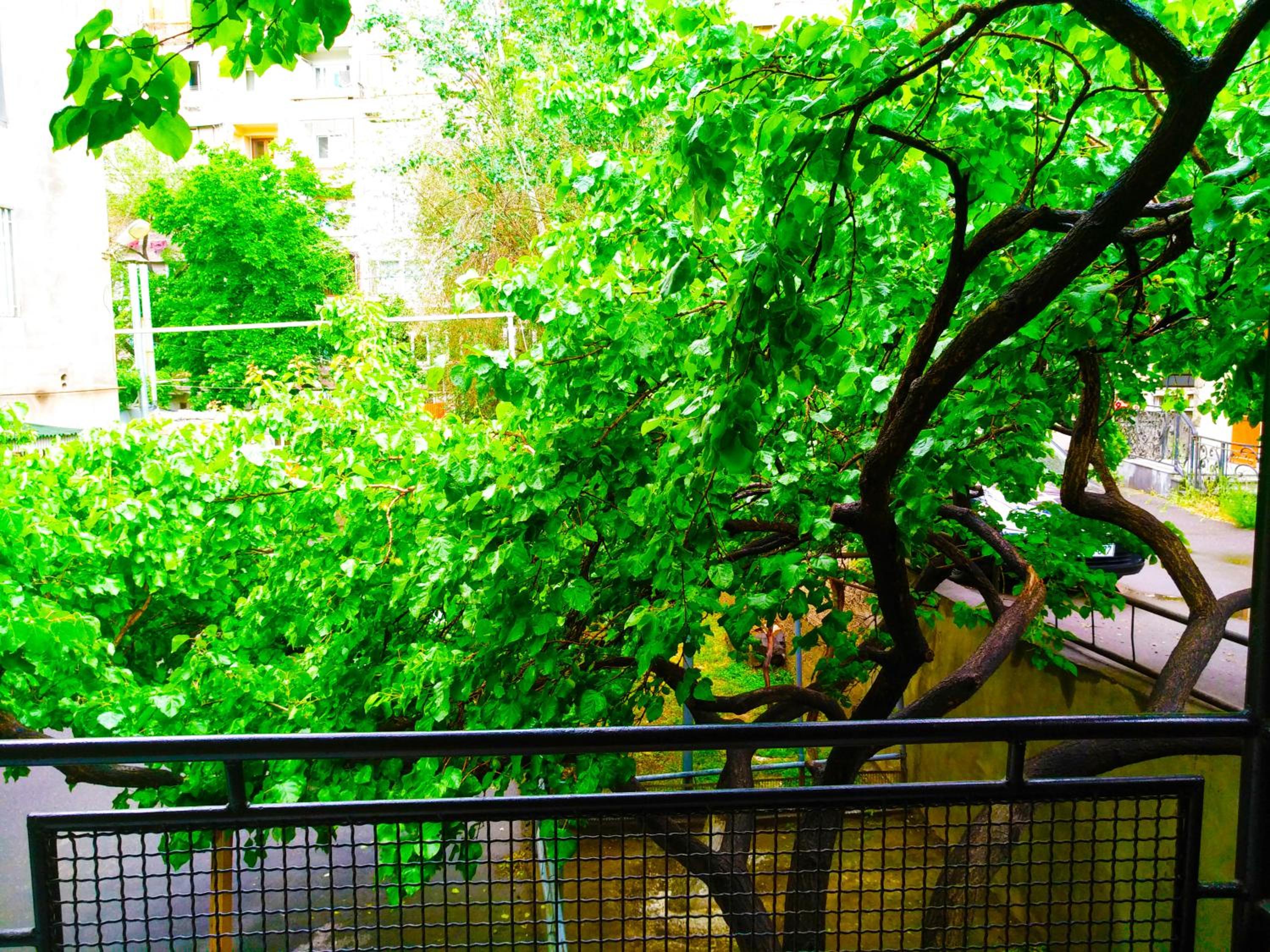 Hostel Sakharov & Tours