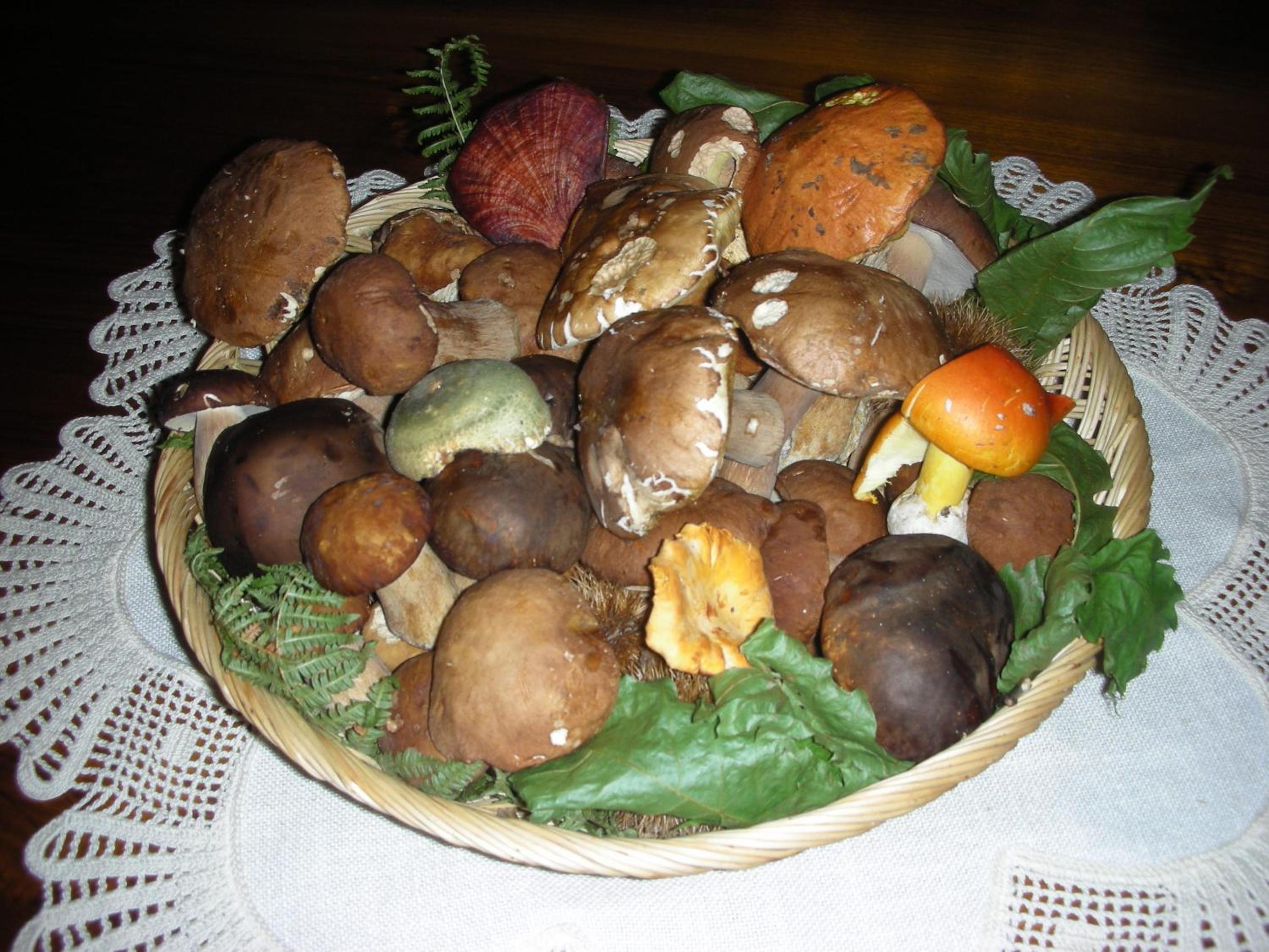 Photo 35