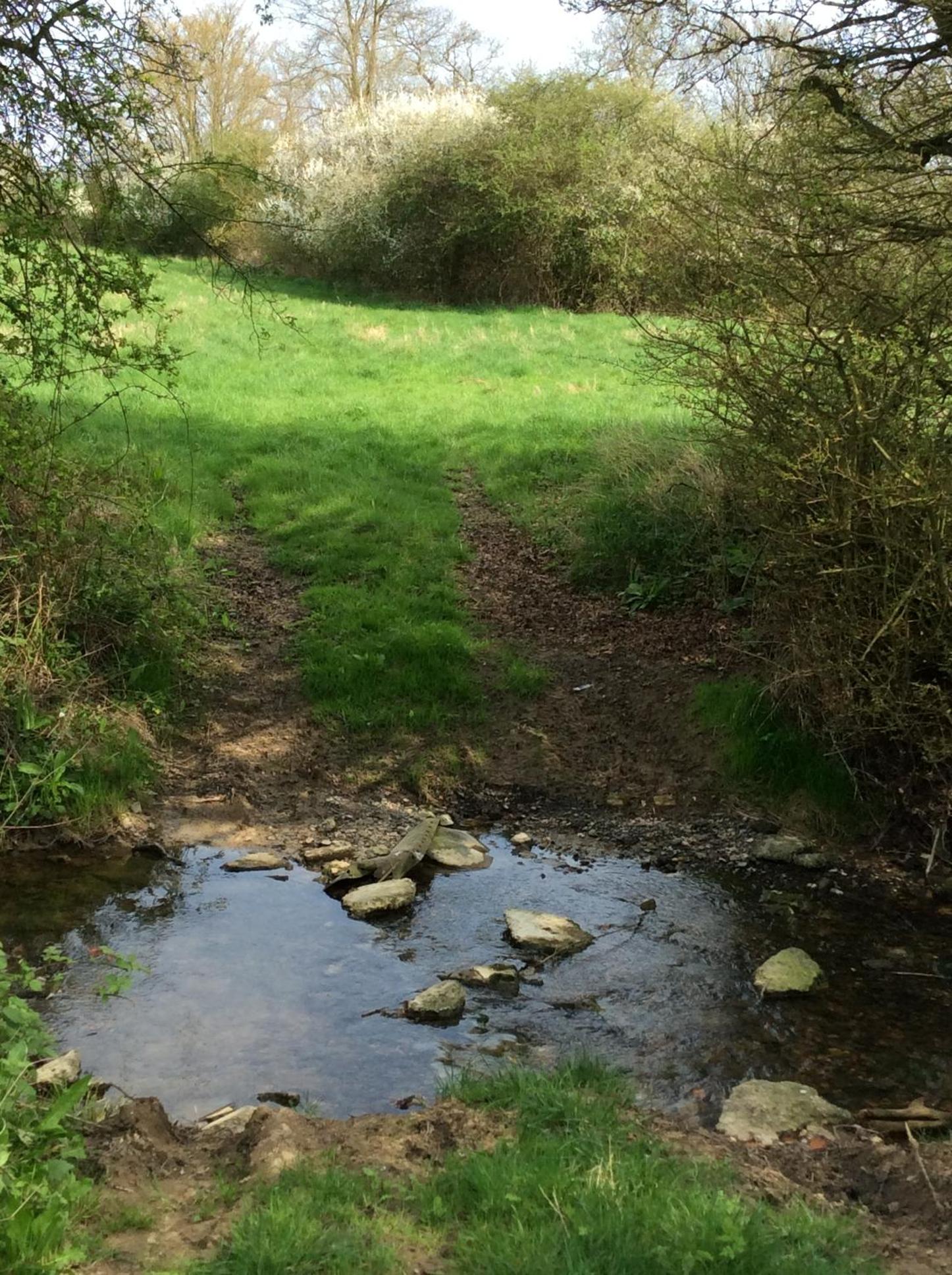 Waldegrave farm