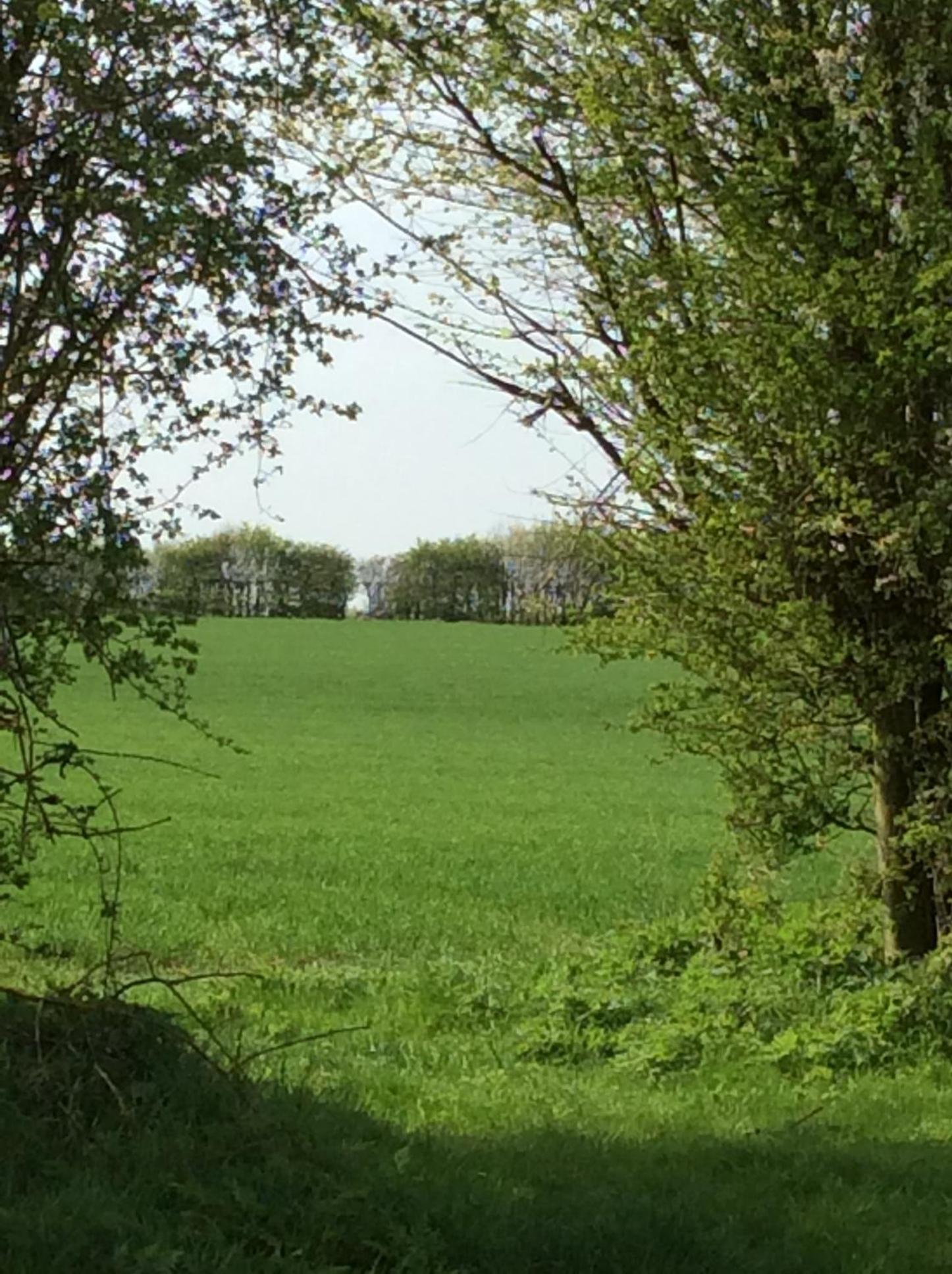 Waldegrave farm