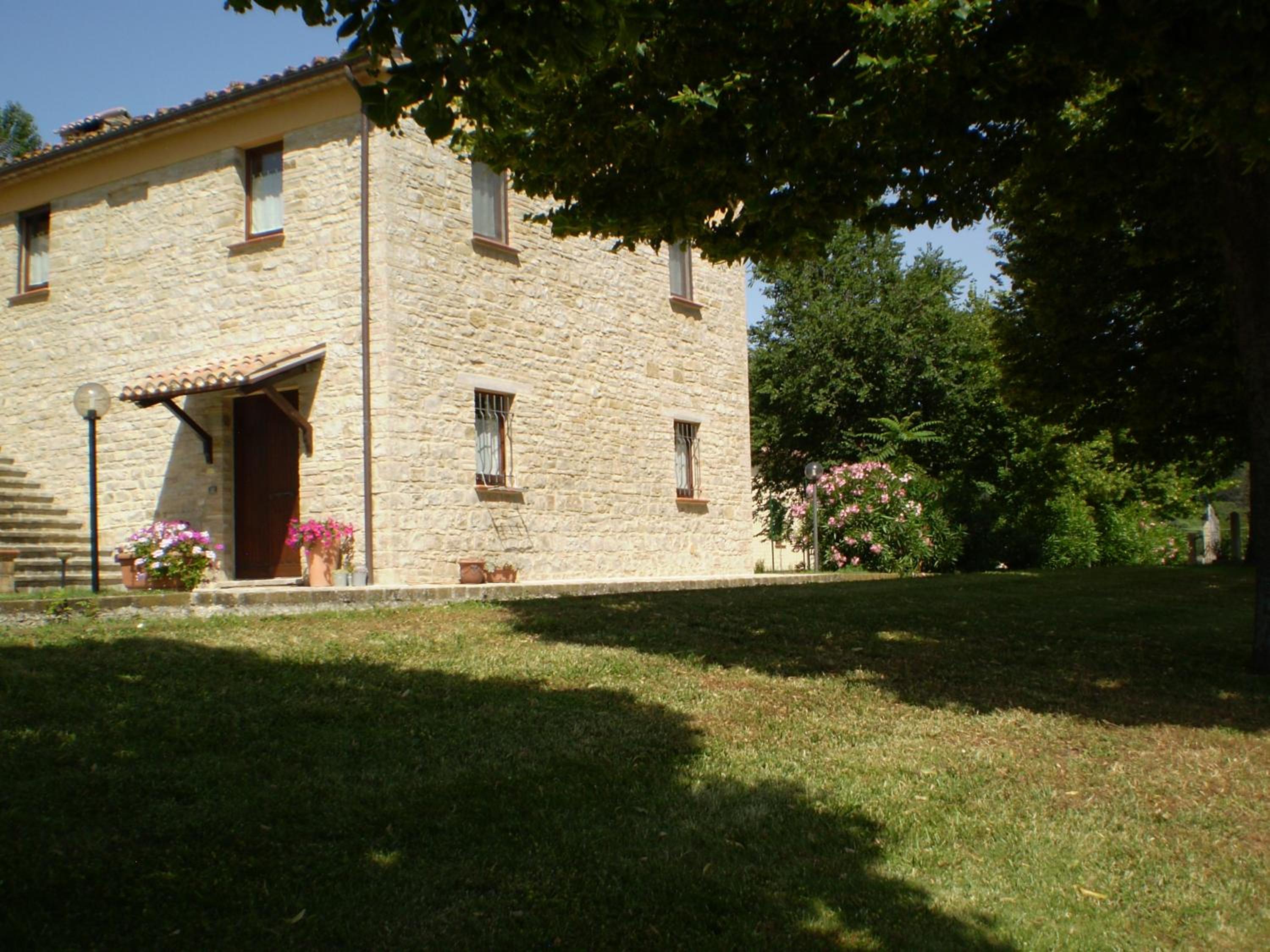 Photo 8