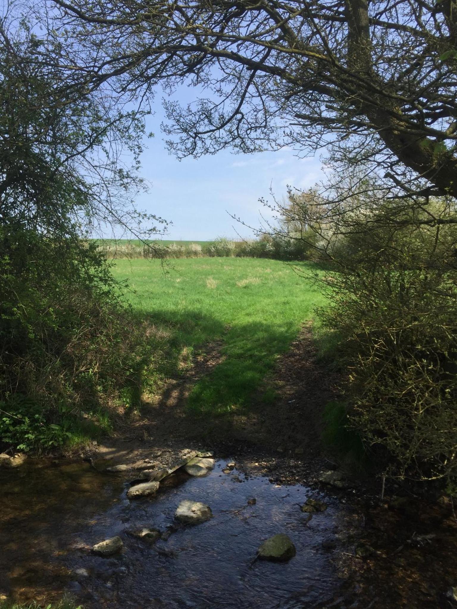 Waldegrave farm