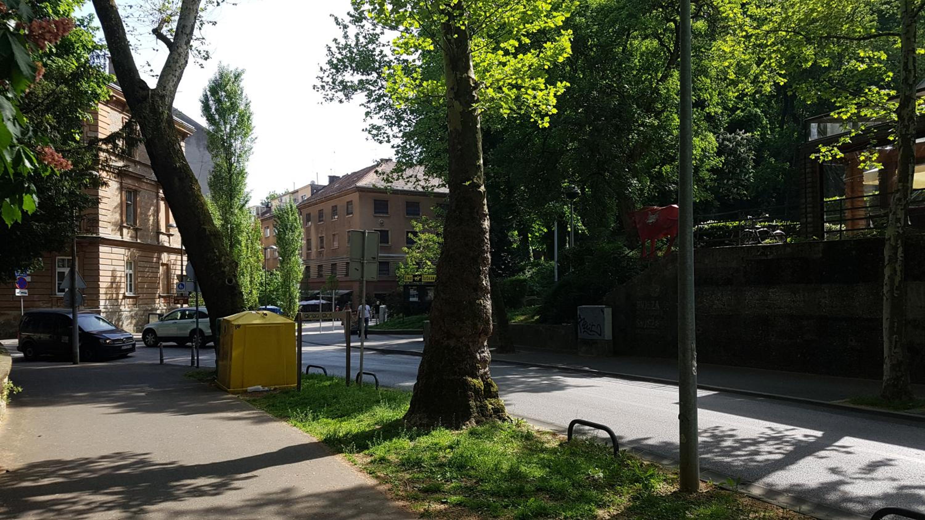 Photo 30