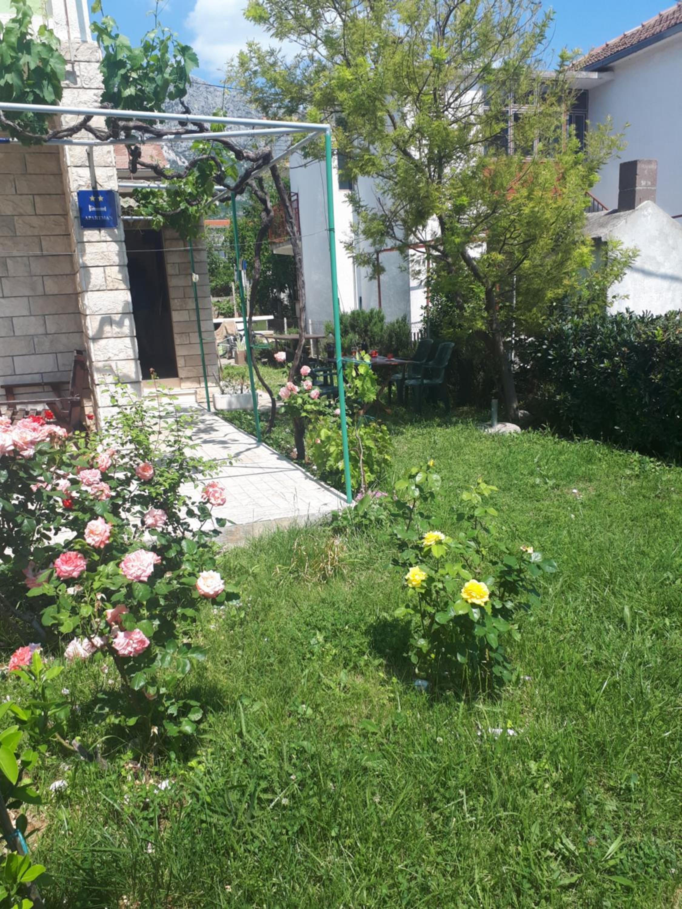 Photo 27