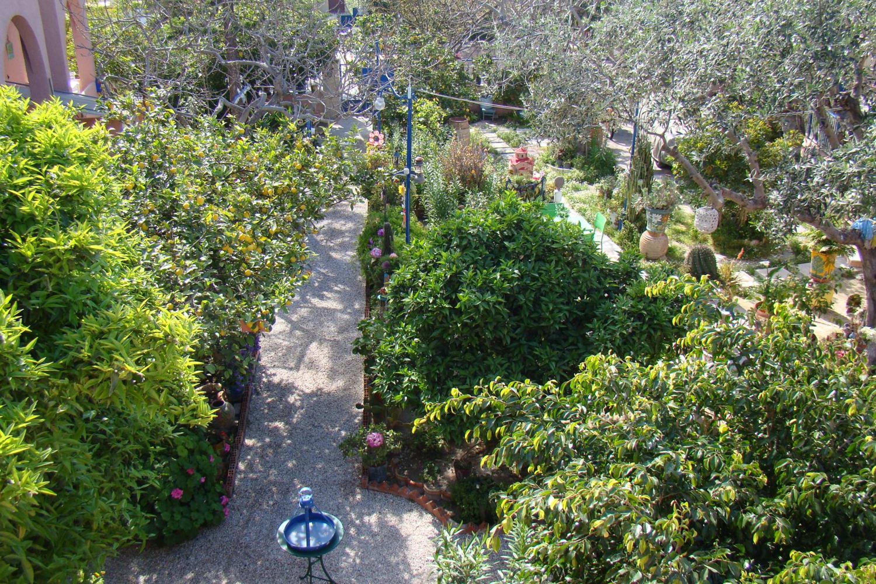 Photo 48