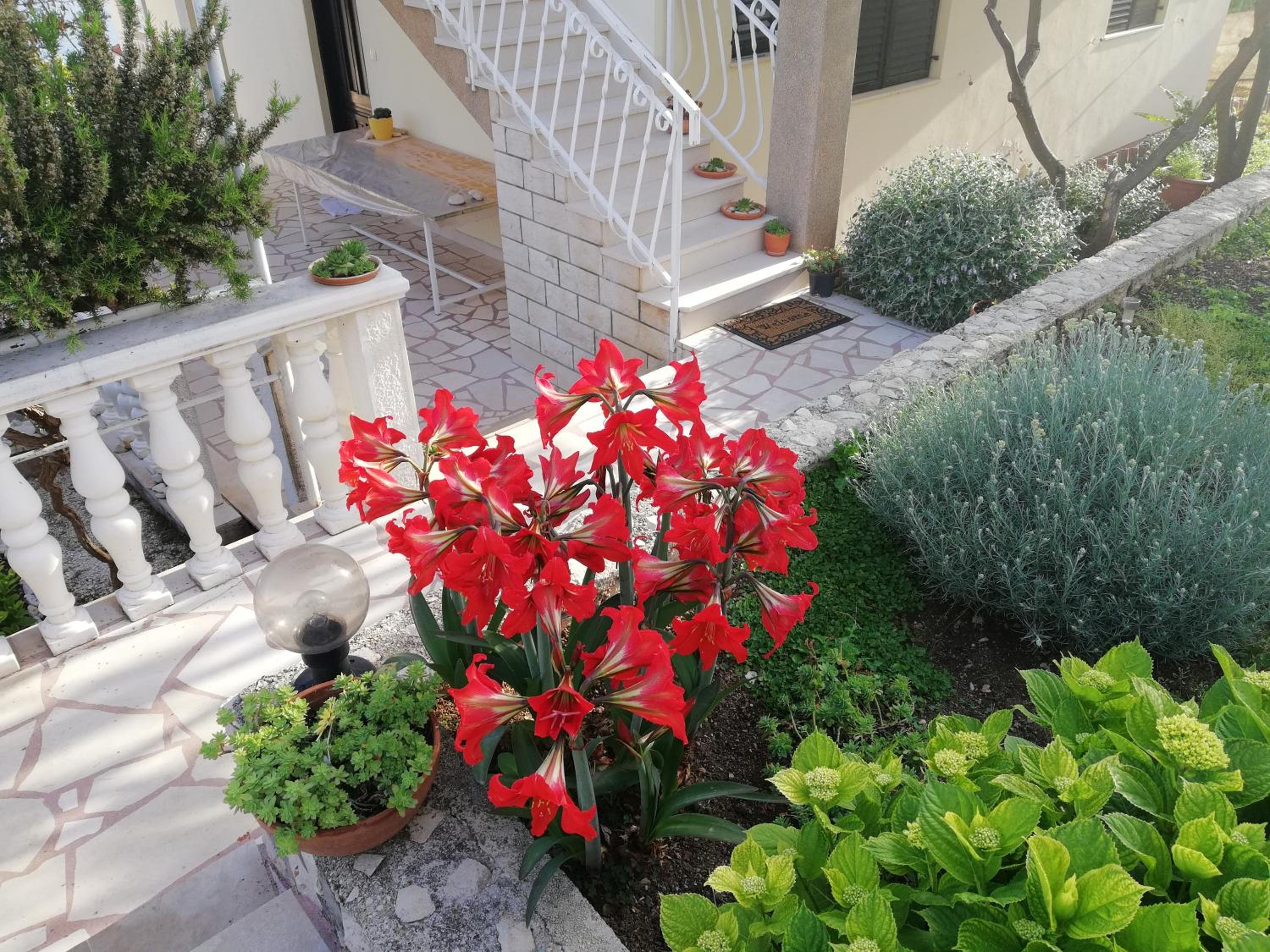 Photo 40