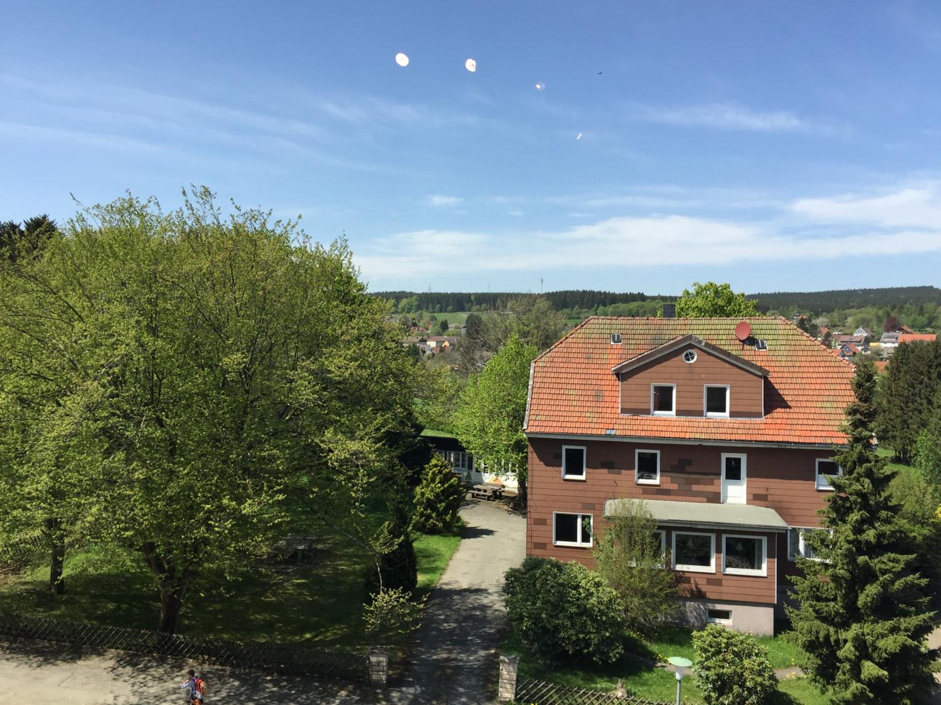 Bergziege