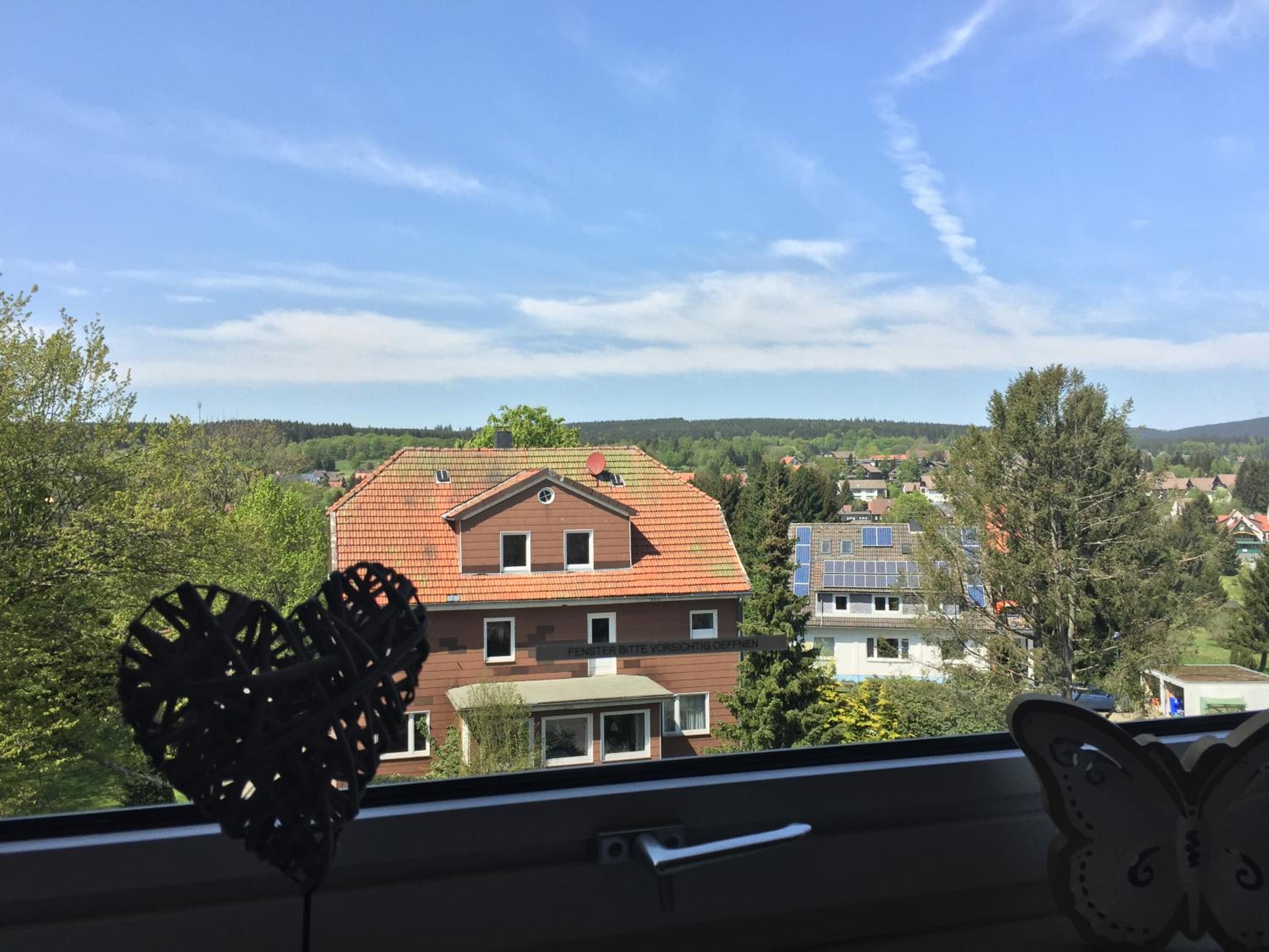 Bergziege