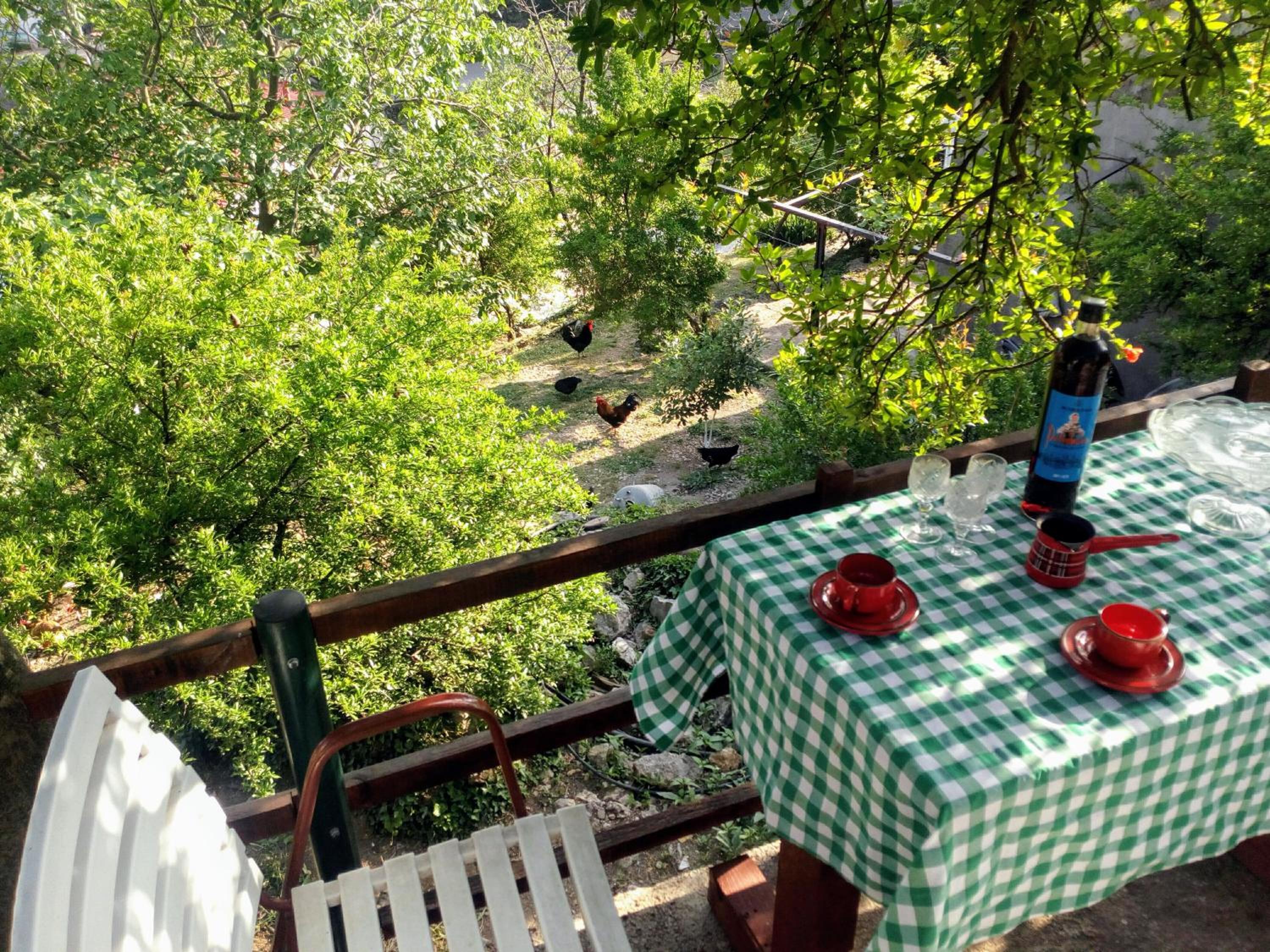 Apartment Lidija