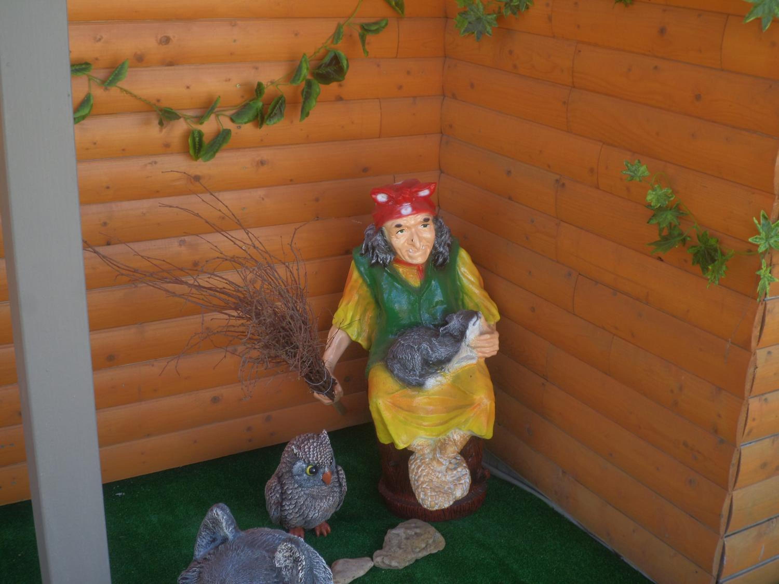 Photo 42