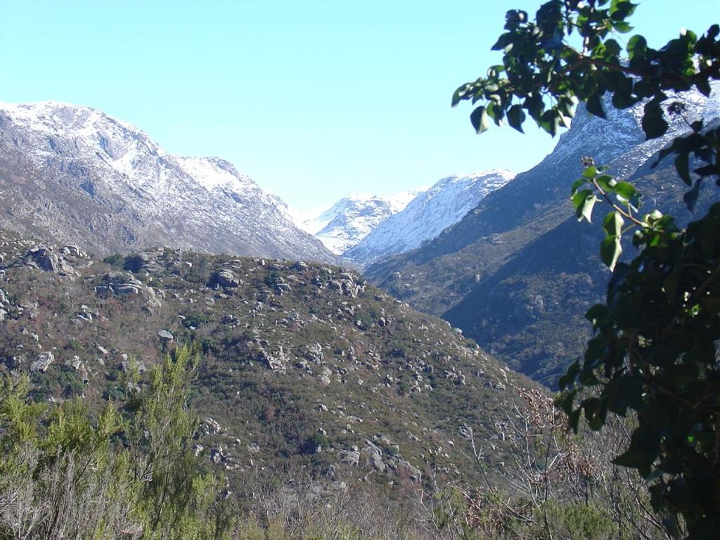 Photo 30