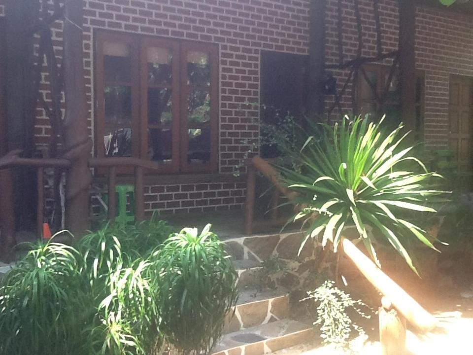 Peach Guesthouse