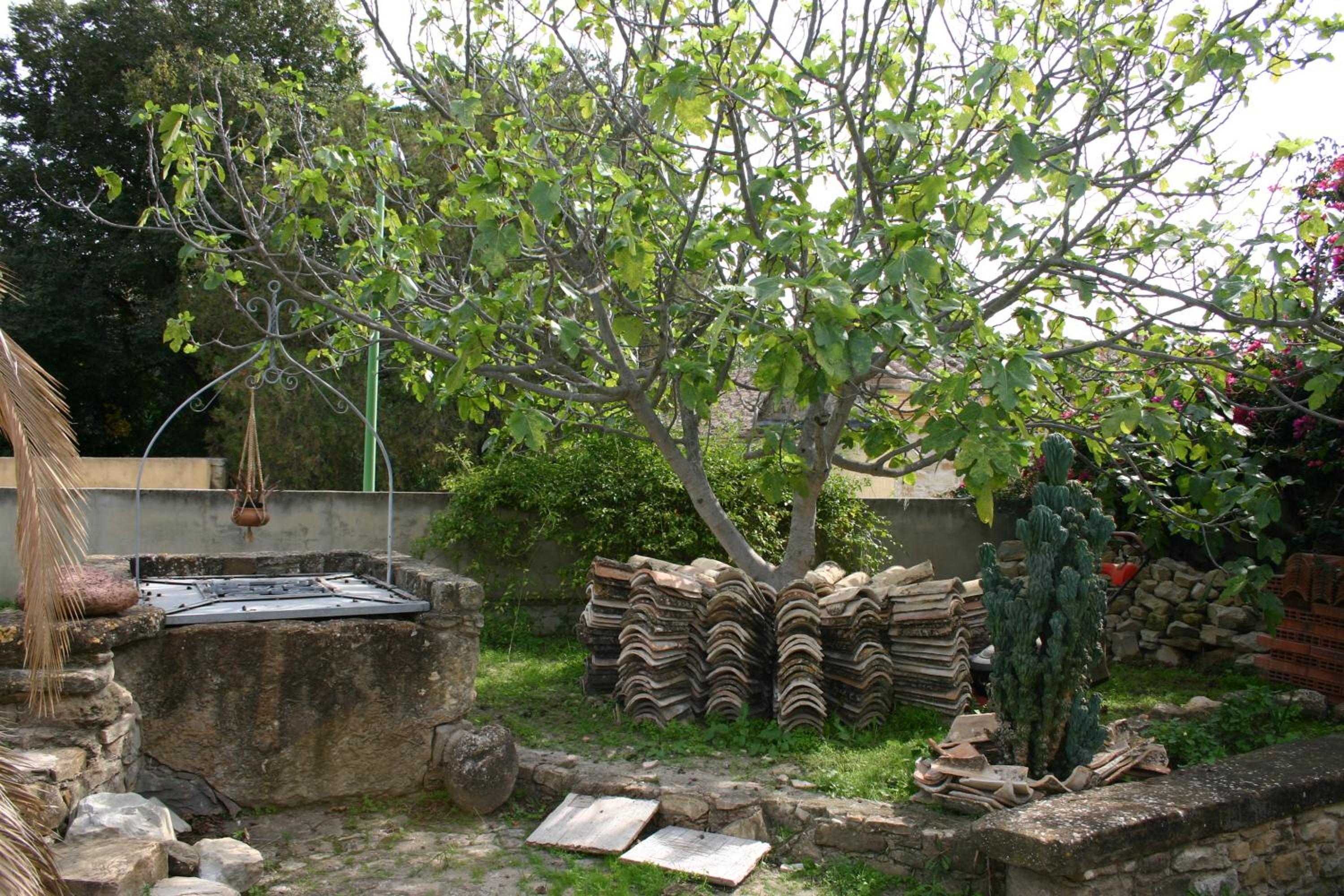 Photo 28