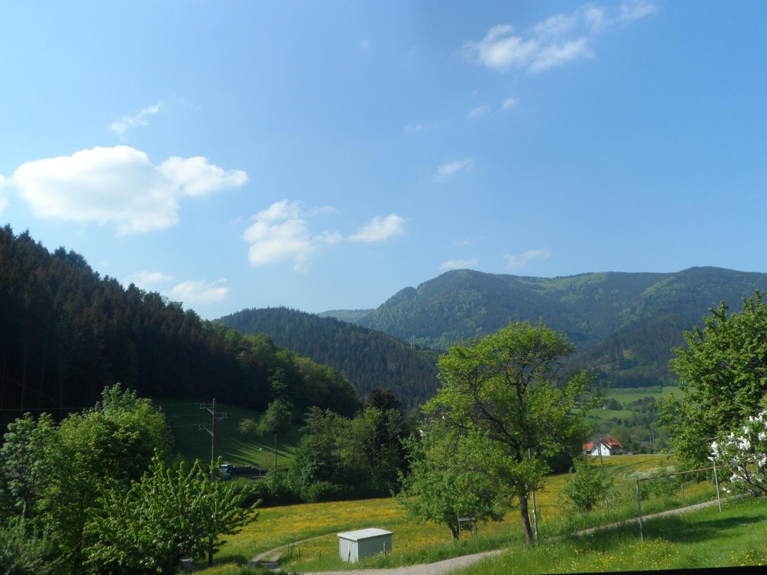 Photo 36