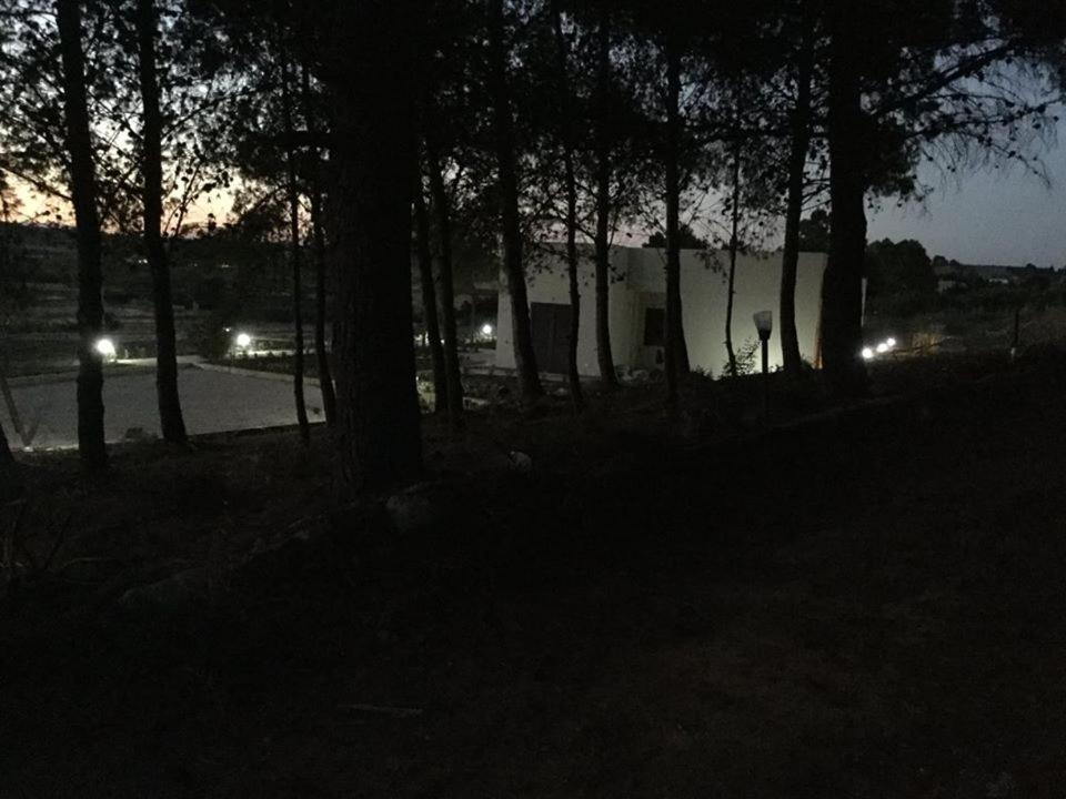 Photo 17
