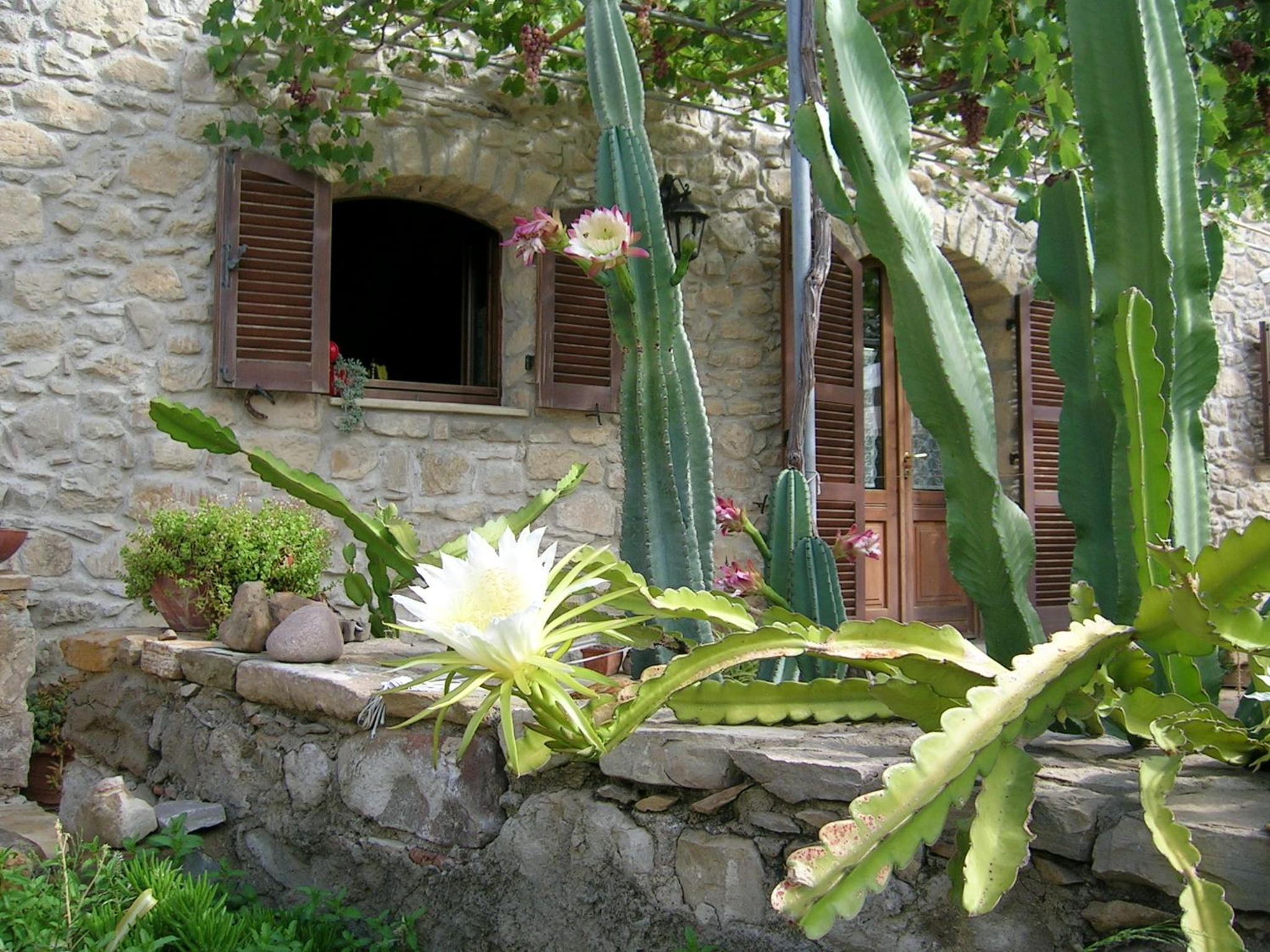 Photo 27