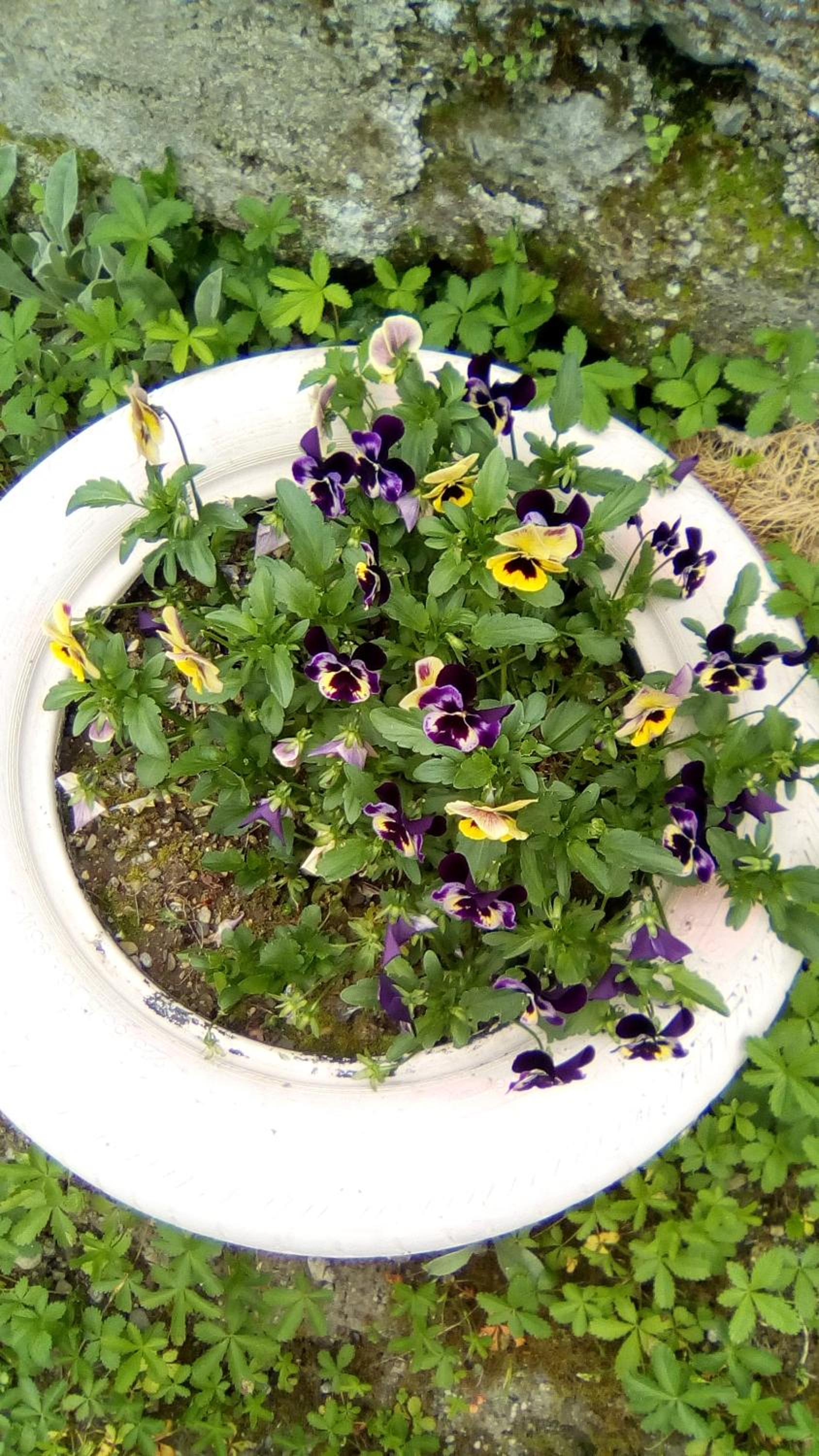 Photo 19