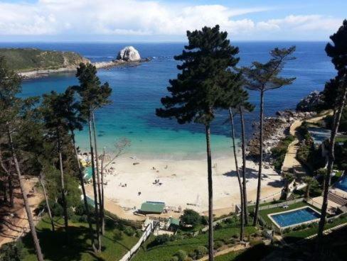 Algarrobo Laguna Vista