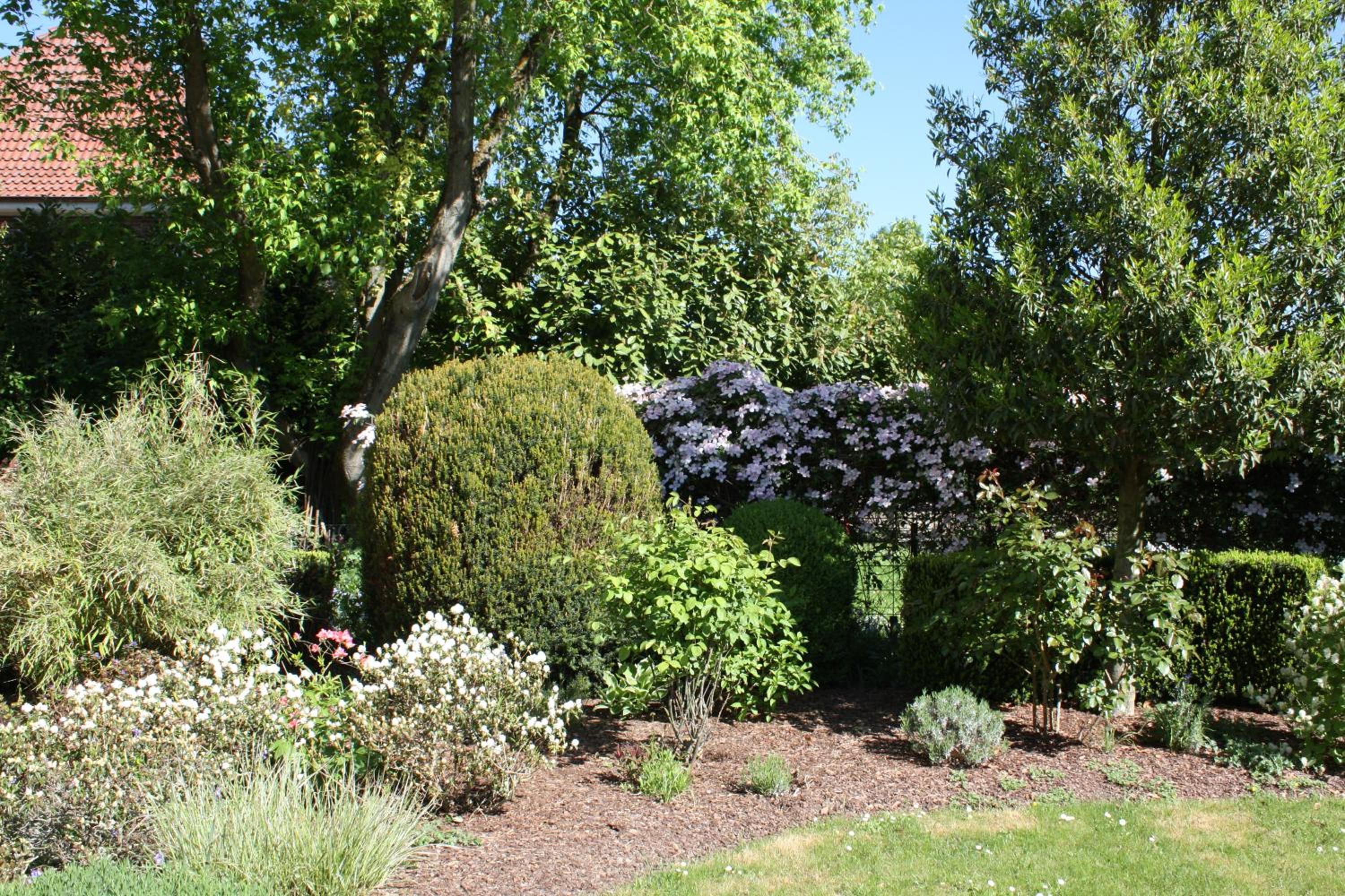 Photo 23