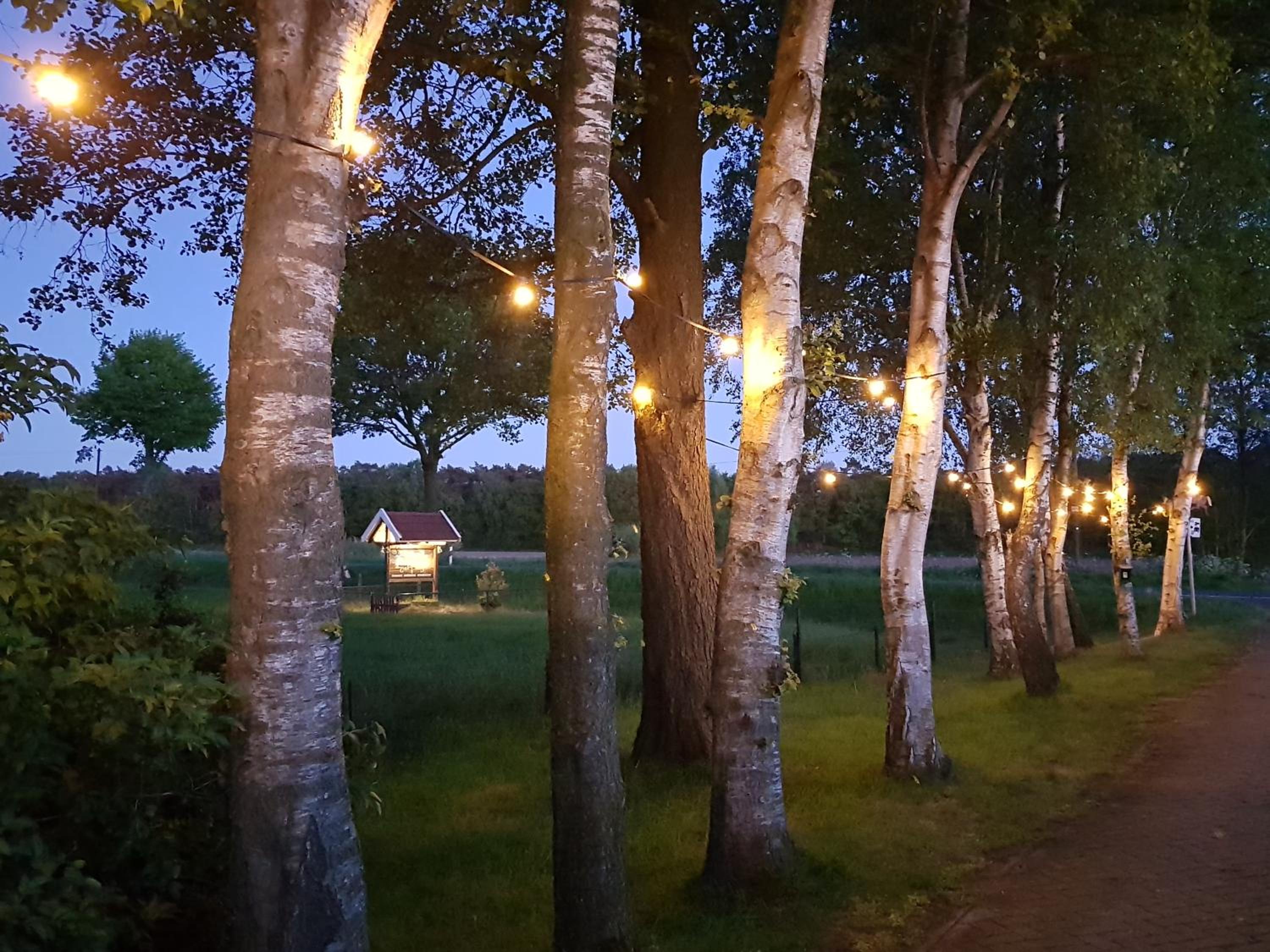 Ferienbauernhof De Slaaphoeve