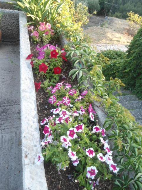 Photo 38