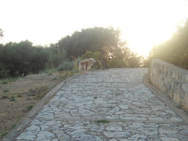 Villa Tsapoula view 3