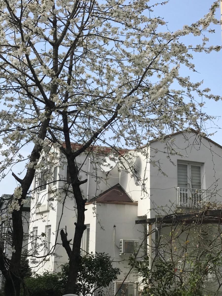 VİLLA ATA ATAKENT view 2