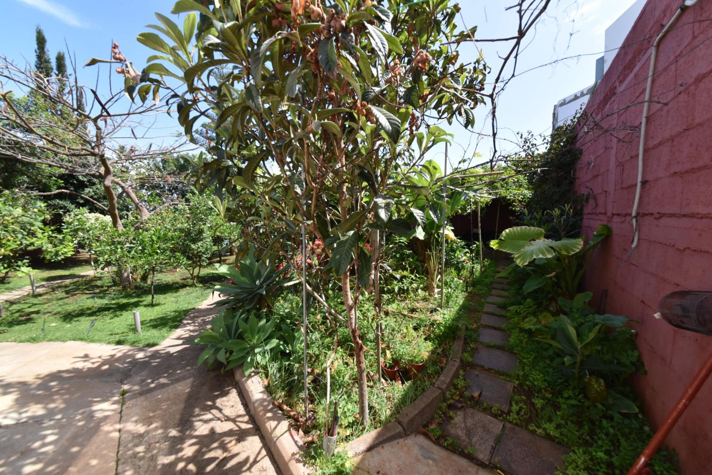 Casa El tonelero con jardín y piscina privada view 5