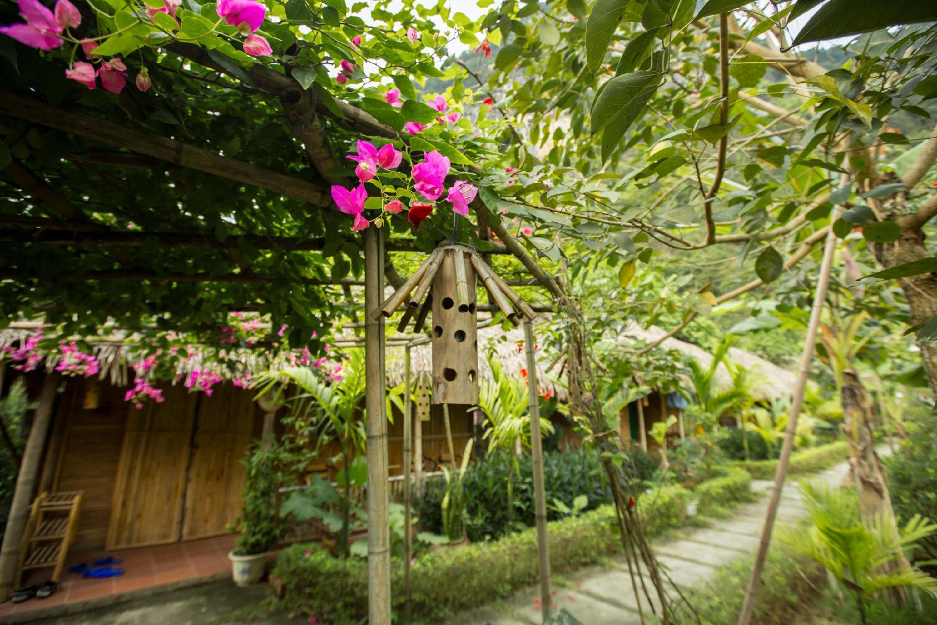 Tam Coc Rice Fields Resort 56