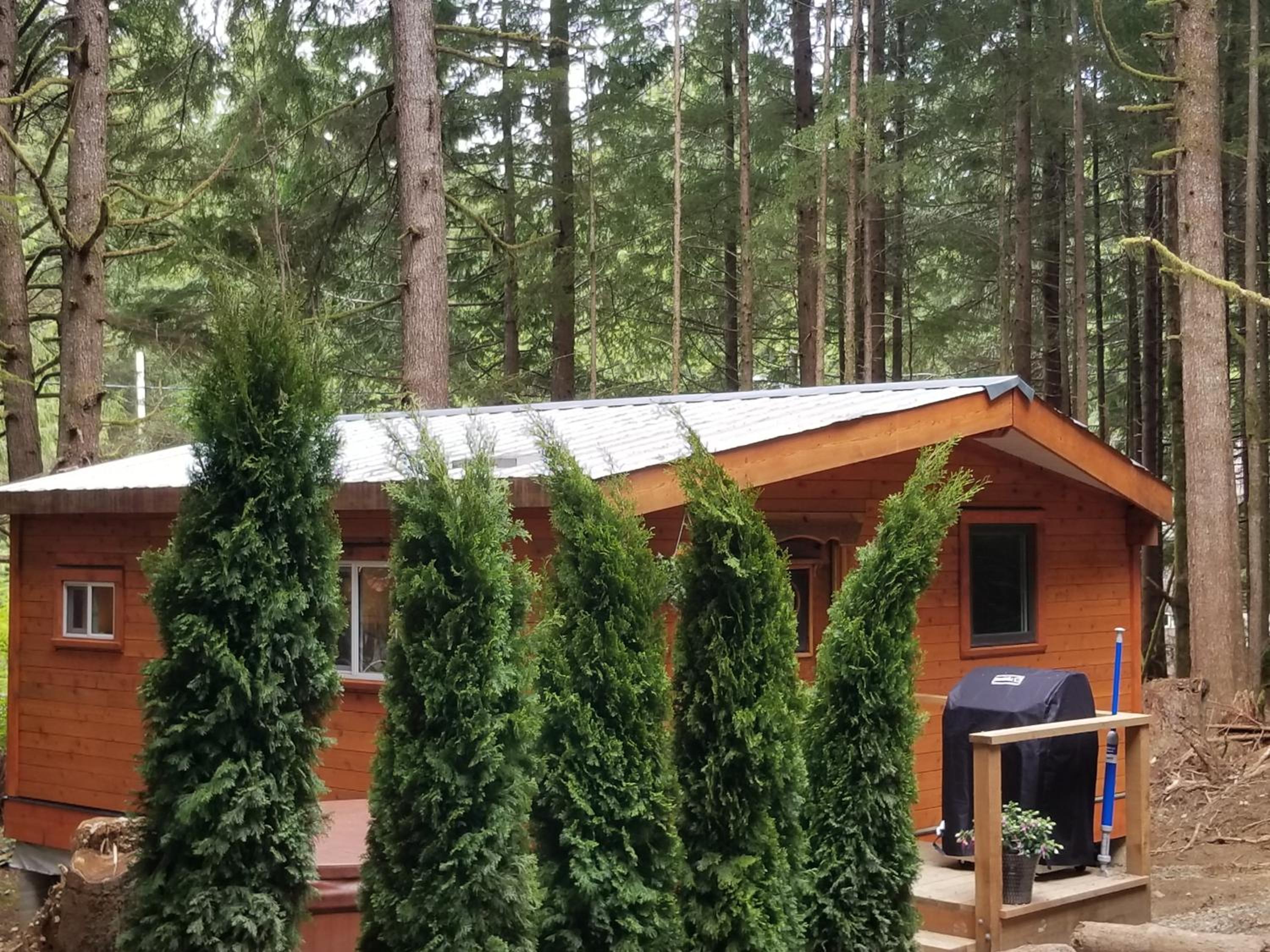 Evergreen Forest Cabins