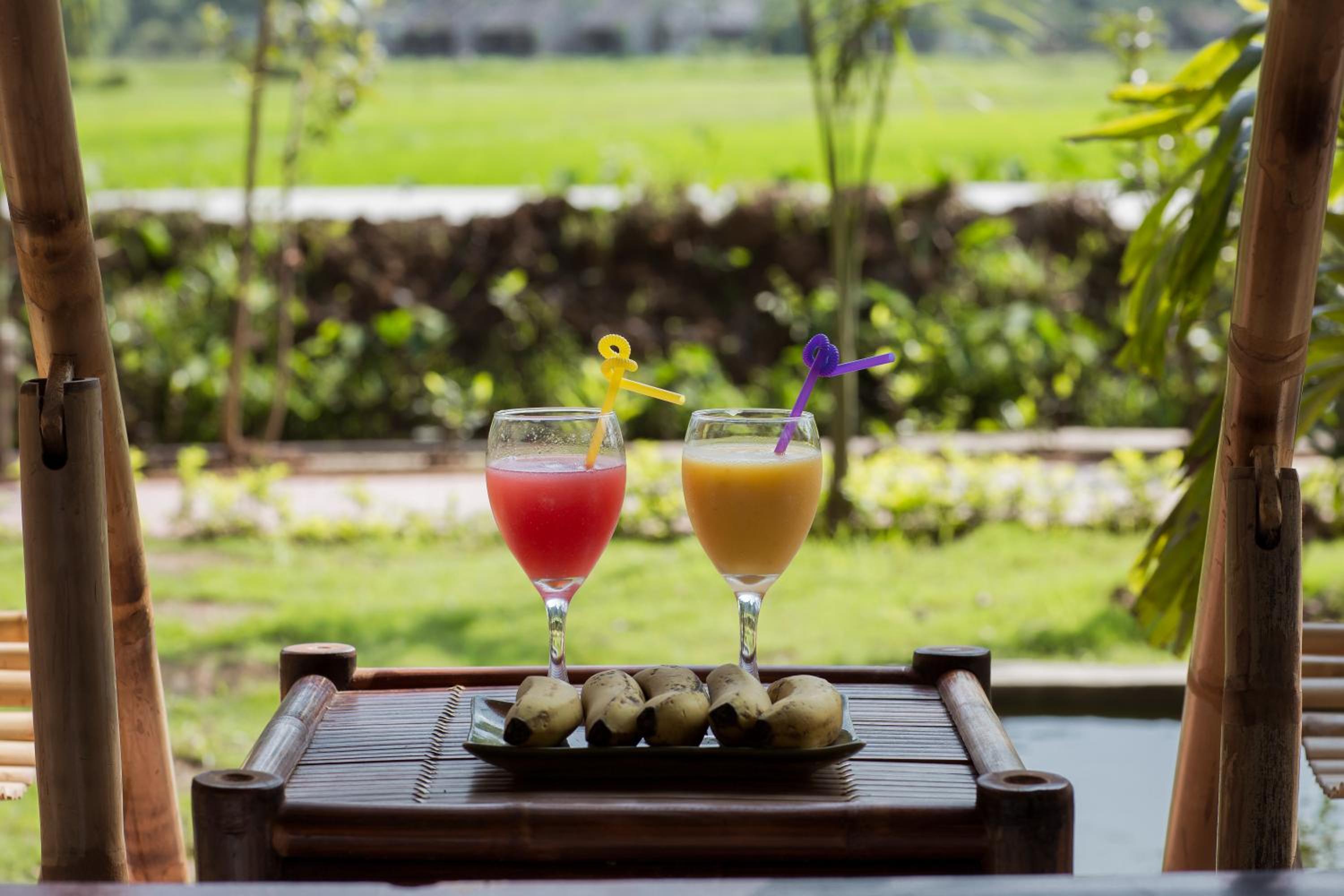 Tam Coc Rice Fields Resort 44
