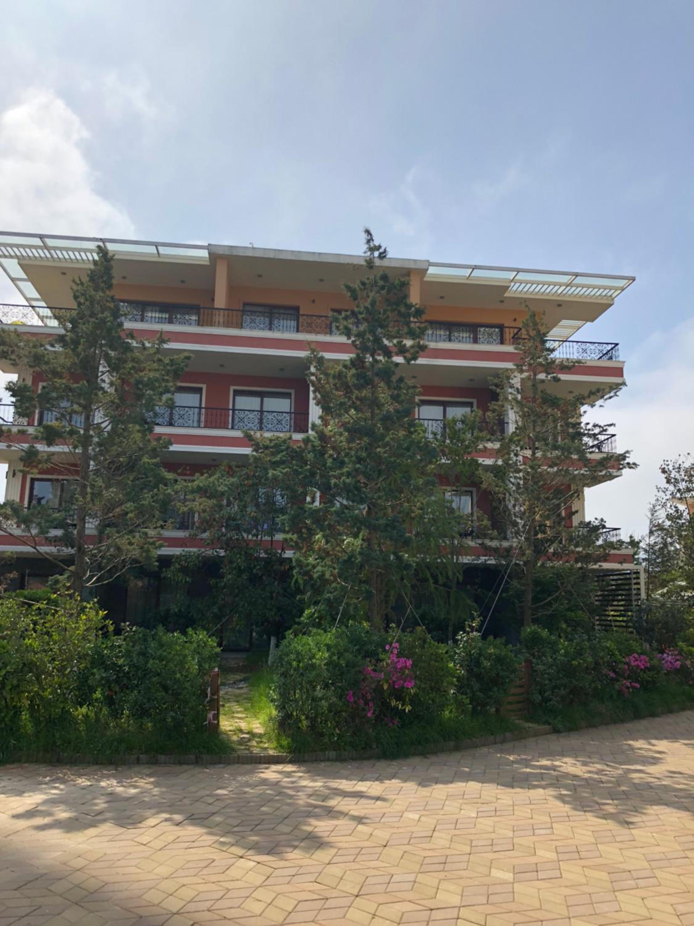 Dreamland oasis in Chakvi view 3