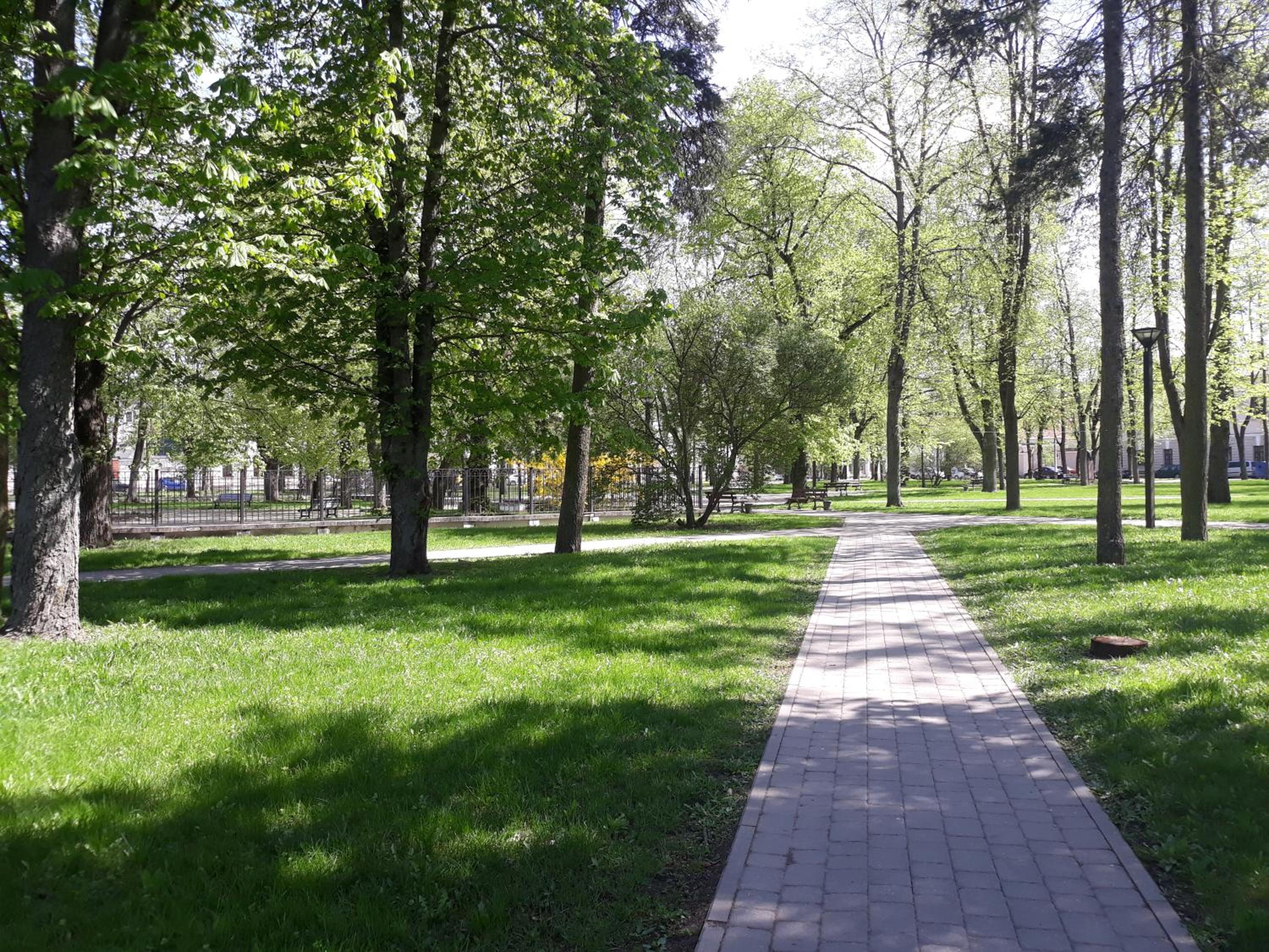 Photo 15