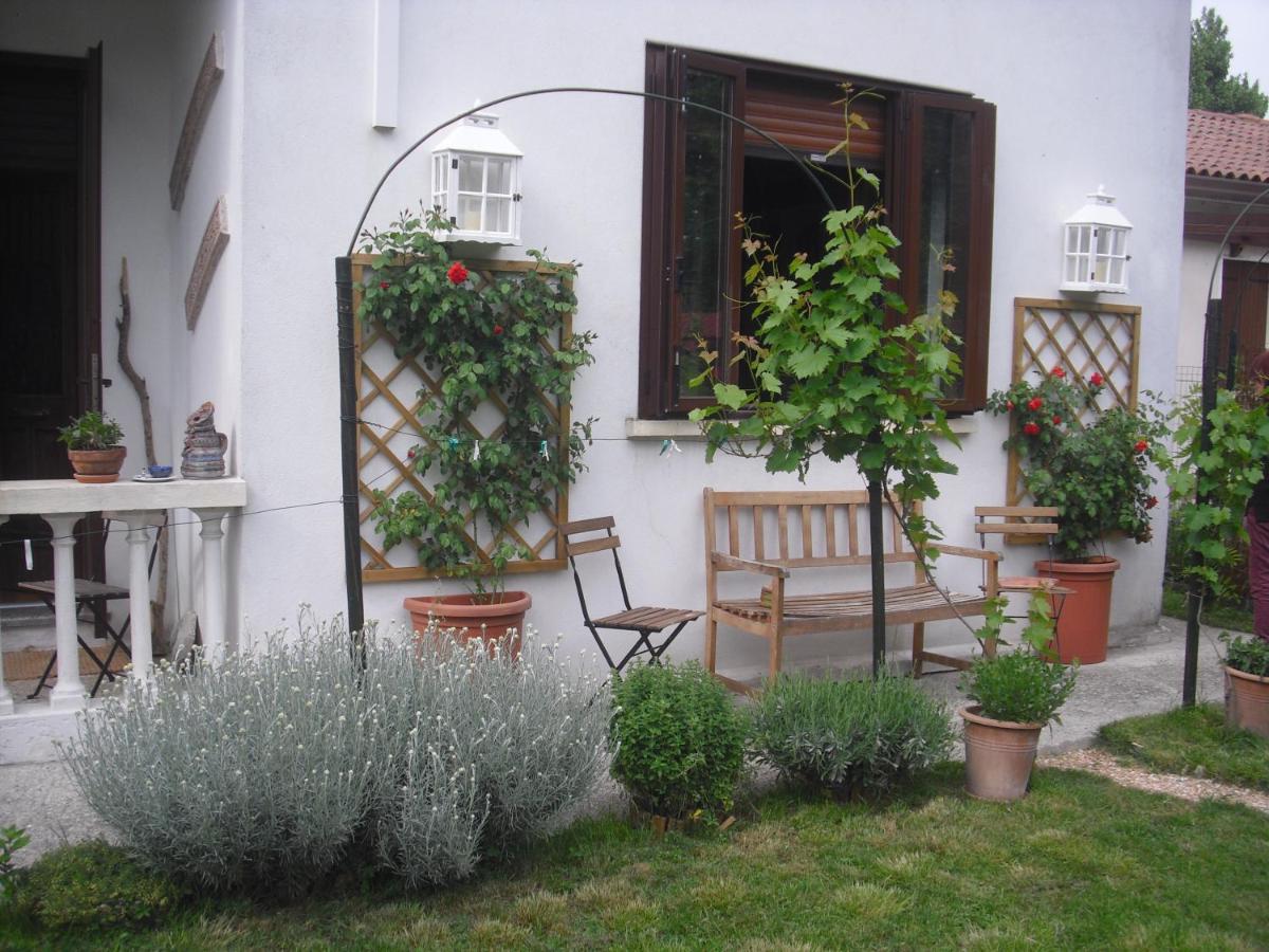 Ca' Delle Arti view 3