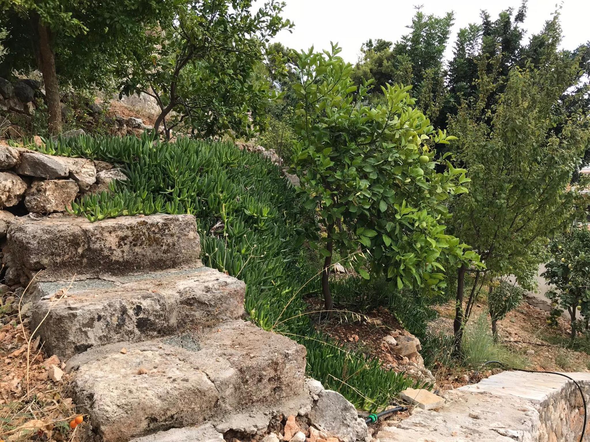 Photo 27