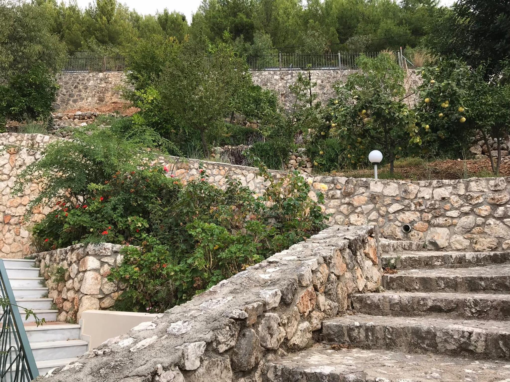 Photo 28