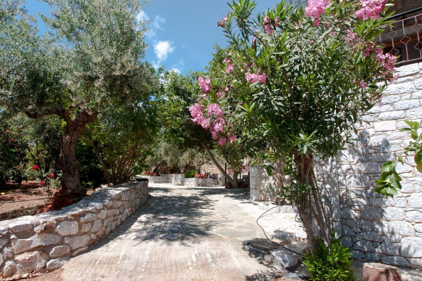 Seaside Serenity - Stylish Seaview Home