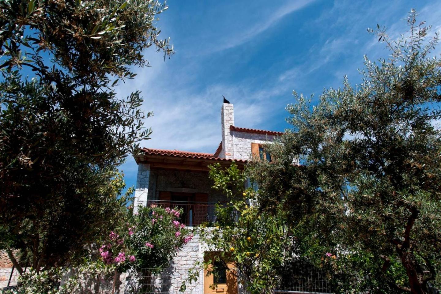 Seaside Serenity - Stylish Seaview Home